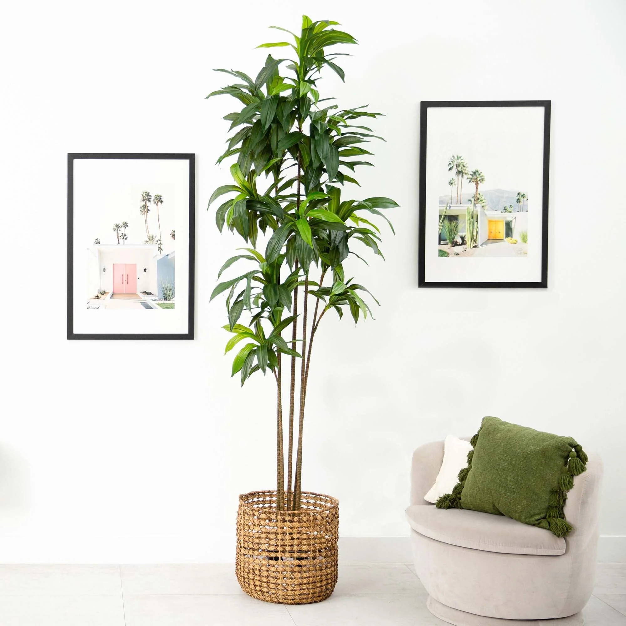 10’ Artificial Dracaena Tree with Real Touch Leaves - Image 3