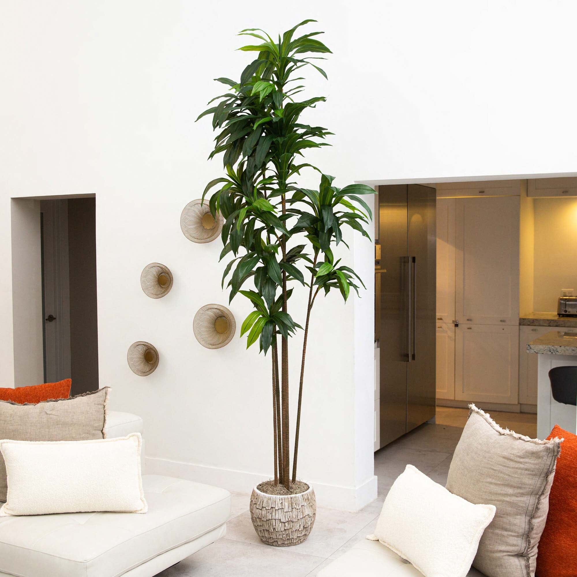 10’ Artificial Dracaena Tree with Real Touch Leaves - Image 4
