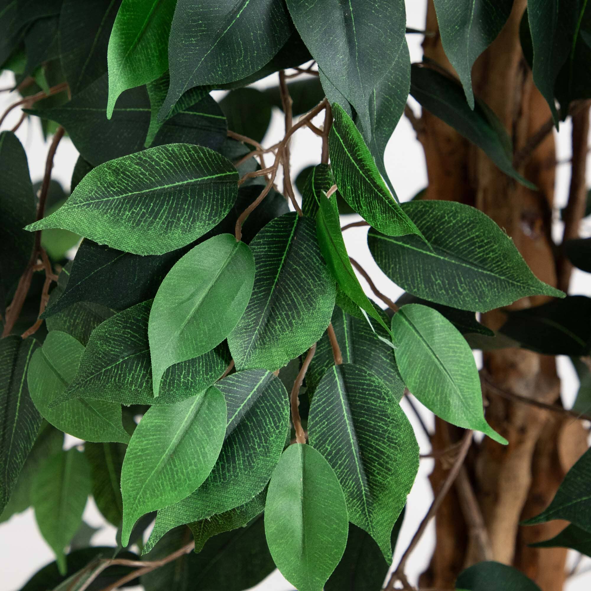 10’ Artificial Ficus Tree with Natural Trunk - Image 2