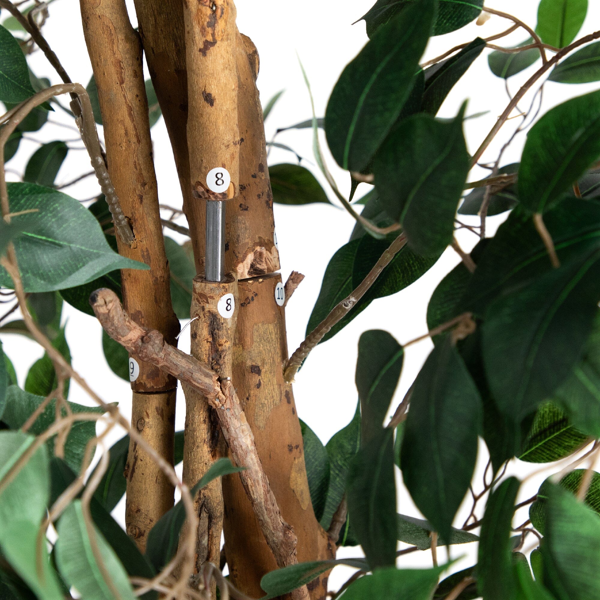 10’ Artificial Ficus Tree with Natural Trunk - Image 4