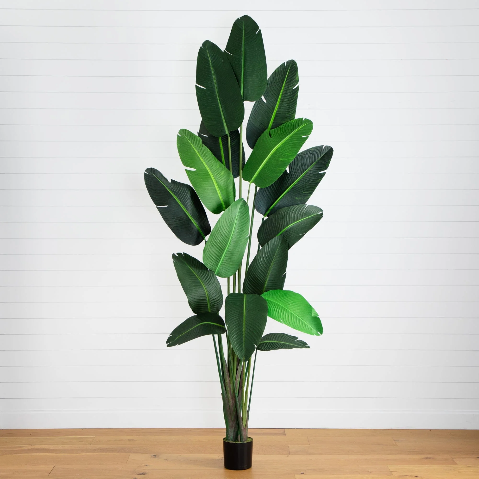 10’ Artificial Travelers Palm Tree