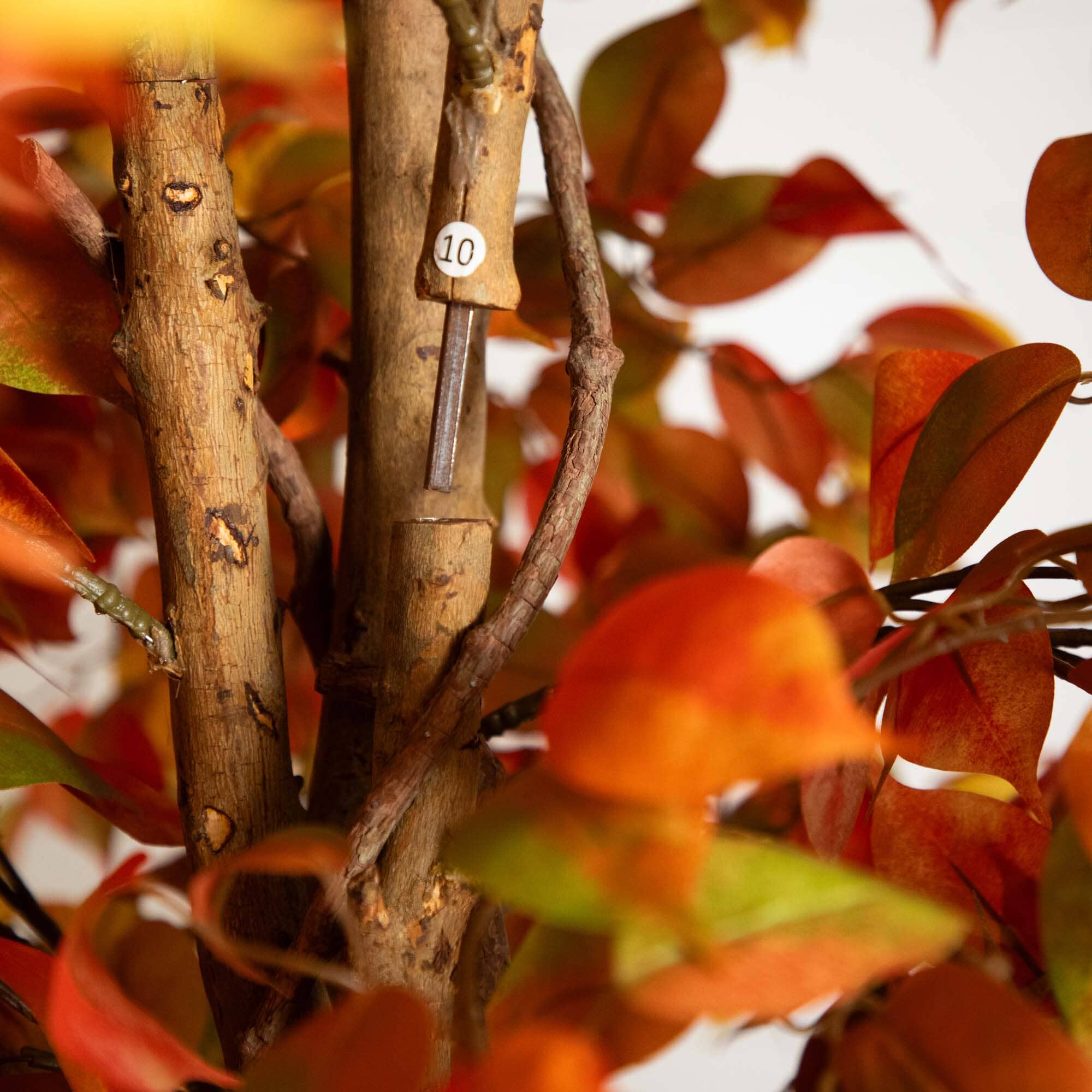 10’ Autumn Ficus Artificial Fall Tree - Image 4