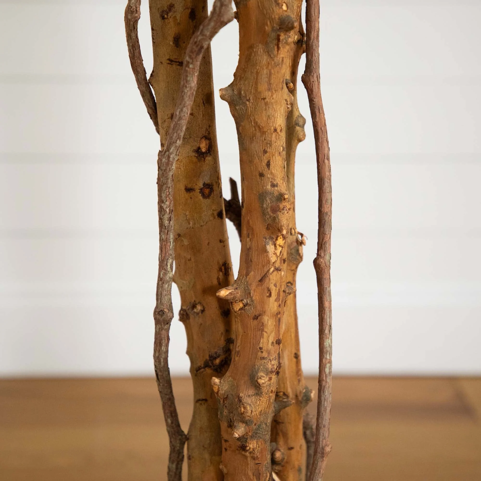 10’ Autumn Ficus Artificial Fall Tree - Image 5