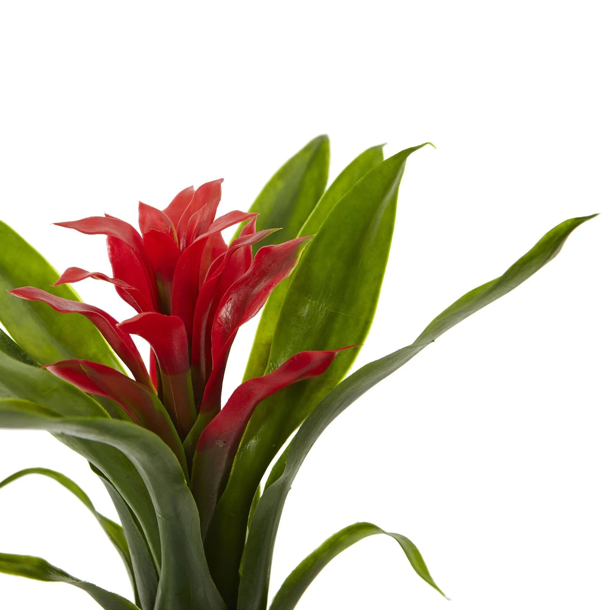 10” Bromeliad Artificial Flower (Set of 6) - Image 5