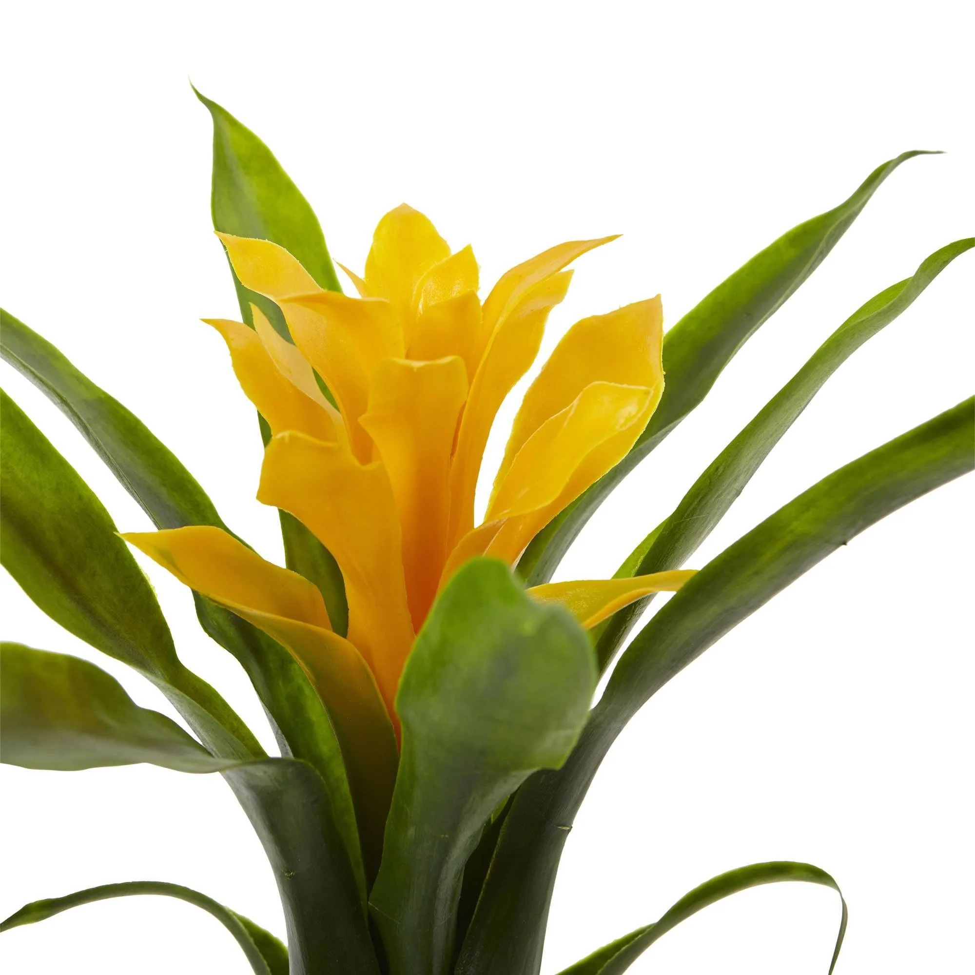 10” Bromeliad Artificial Flower (Set of 6) - Image 8