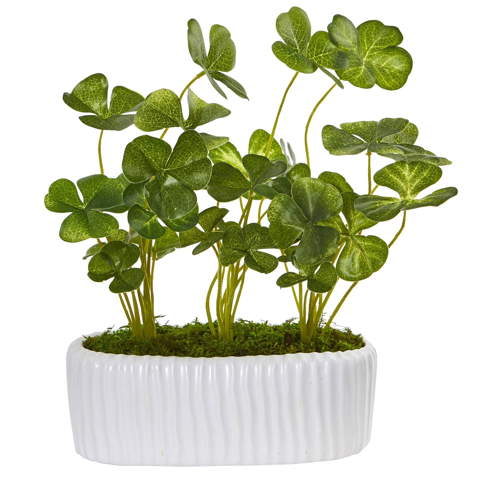 10” Clover Artificial Plant in White Planter (Set of 2) - Image 3