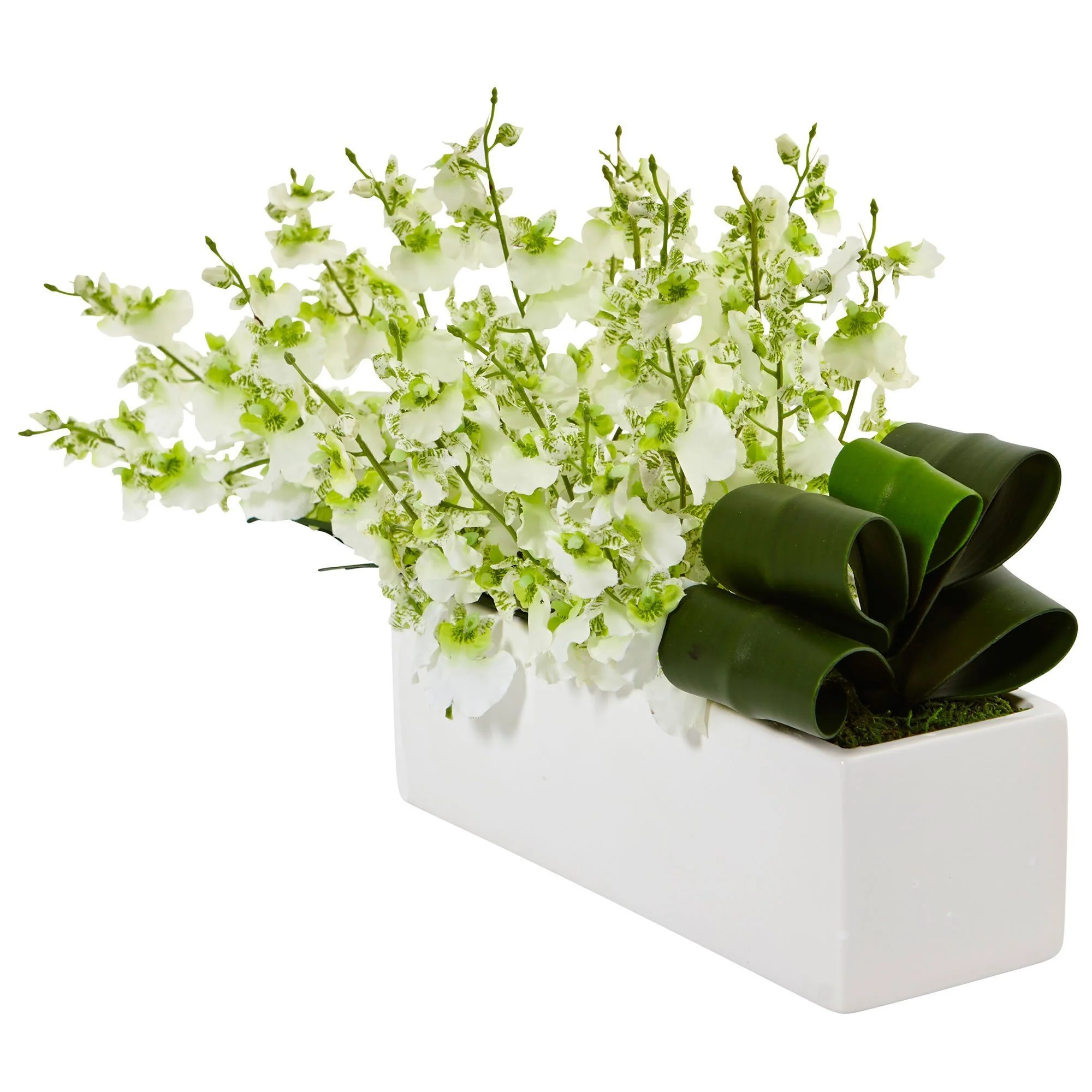 Dancing Lady Orchid in Rectangular Ceramic - Image 2