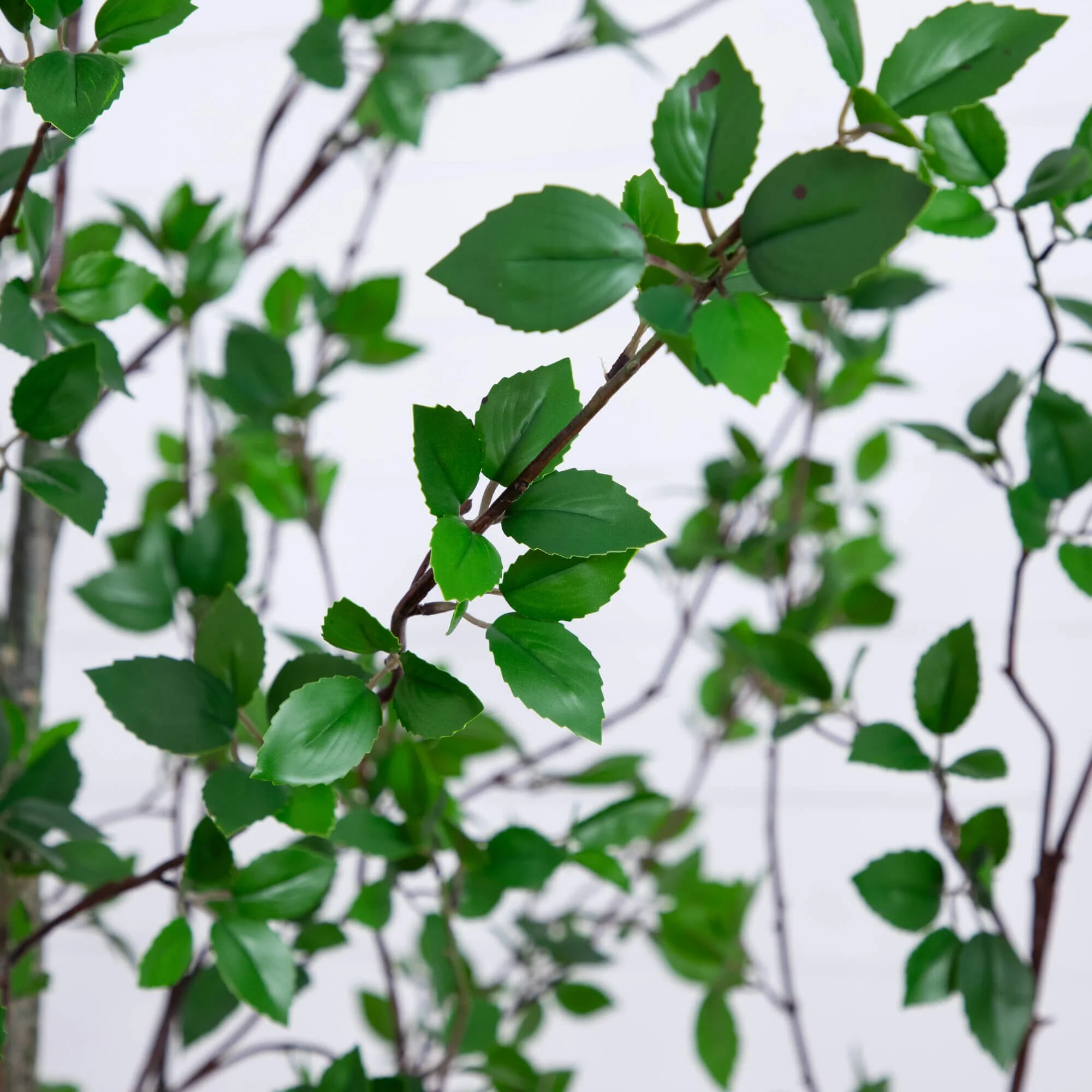 10' Minimalist Citrus Artificial Tree - Image 2
