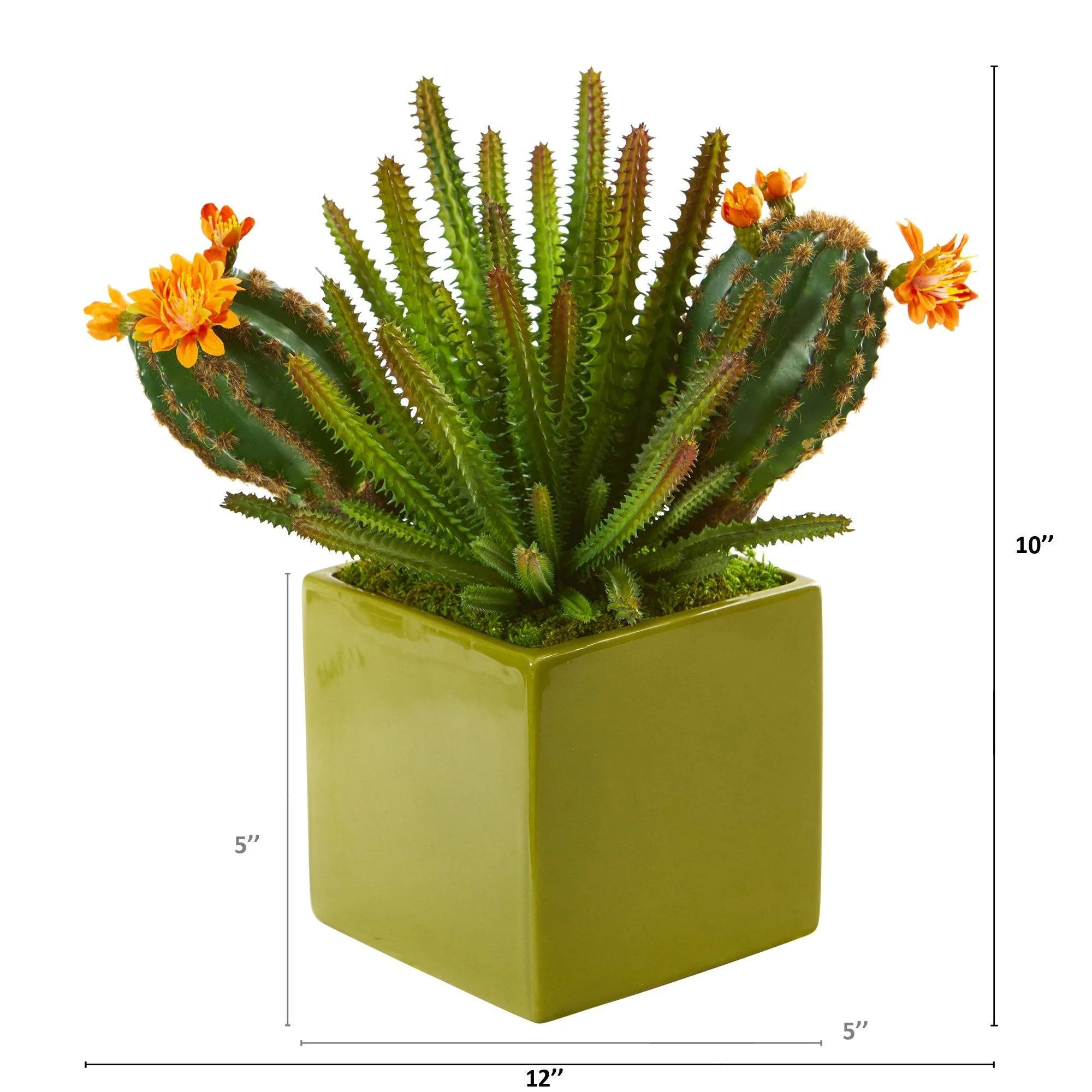 10” Mixed Succulent Artificial Plant in Green Planter - Image 2