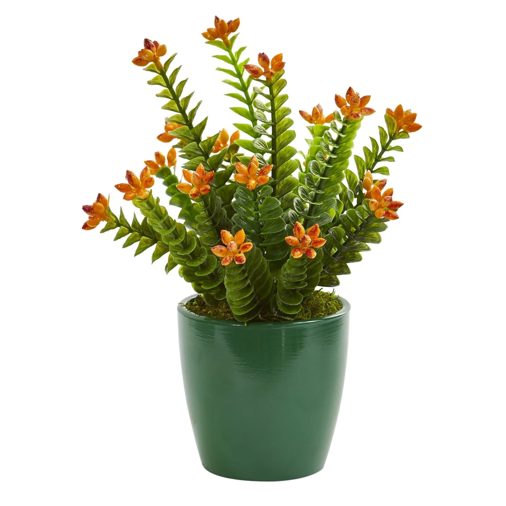 10" Sedum Succulent Artificial Plant in Green Planter (Set of 2)" - Image 2