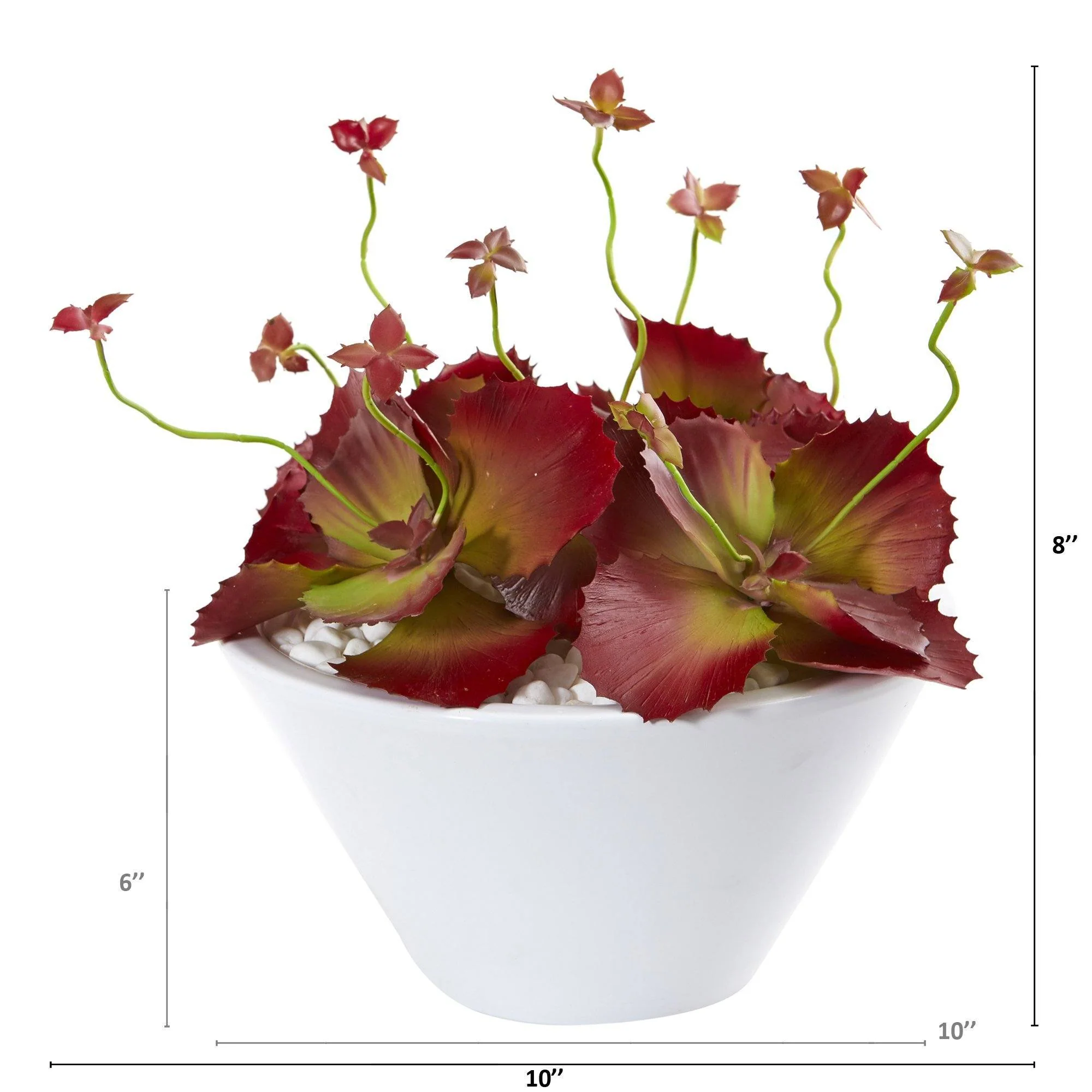 10” Succulent Artificial Plant in White Bowl - Image 2
