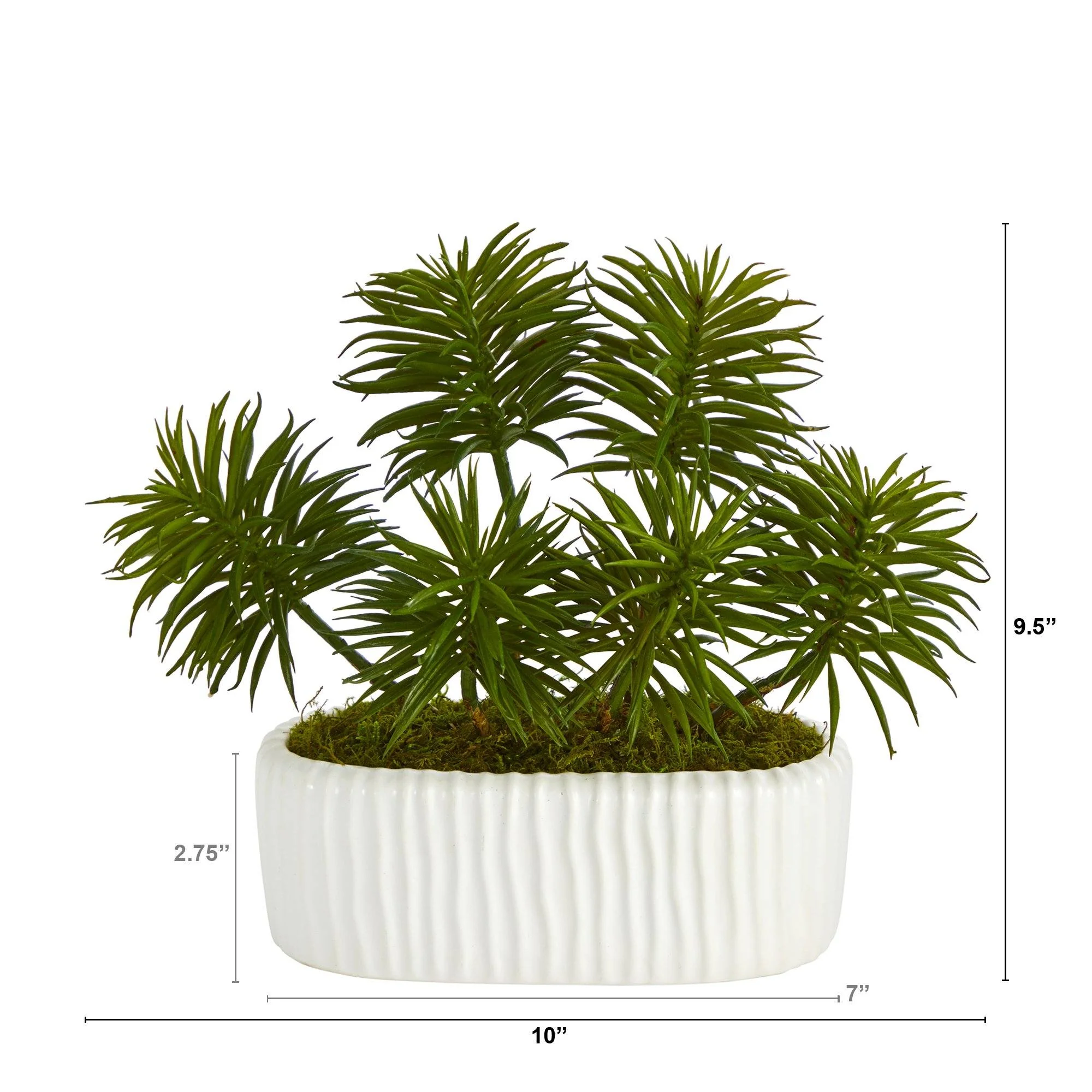 10” Succulent Artificial Plant in White Planter - Image 2