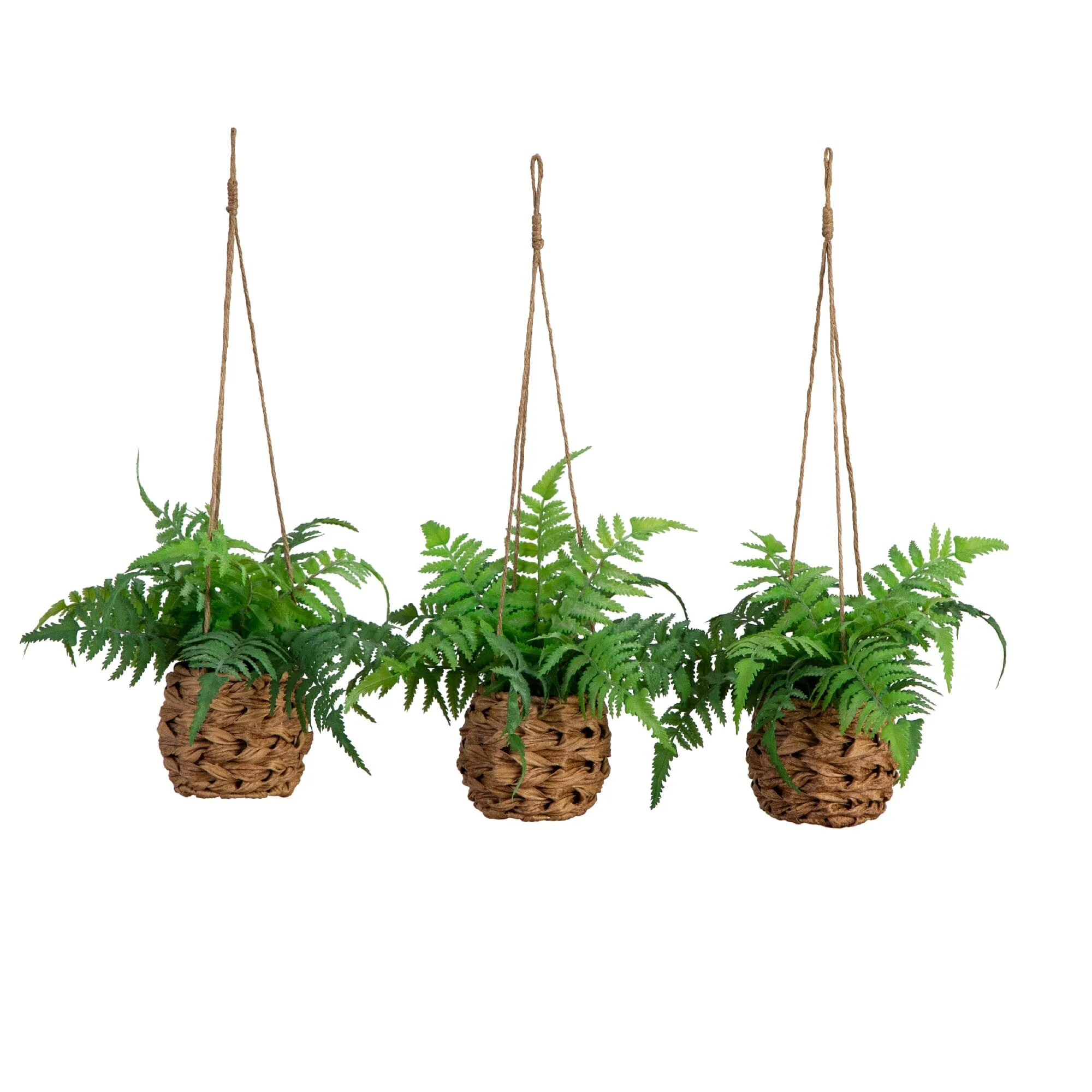 10” UV Resistant Artificial Boston Fern in Hanging Wicker Basket (Indoor/Outdoor) - Set of 3 - Image 7
