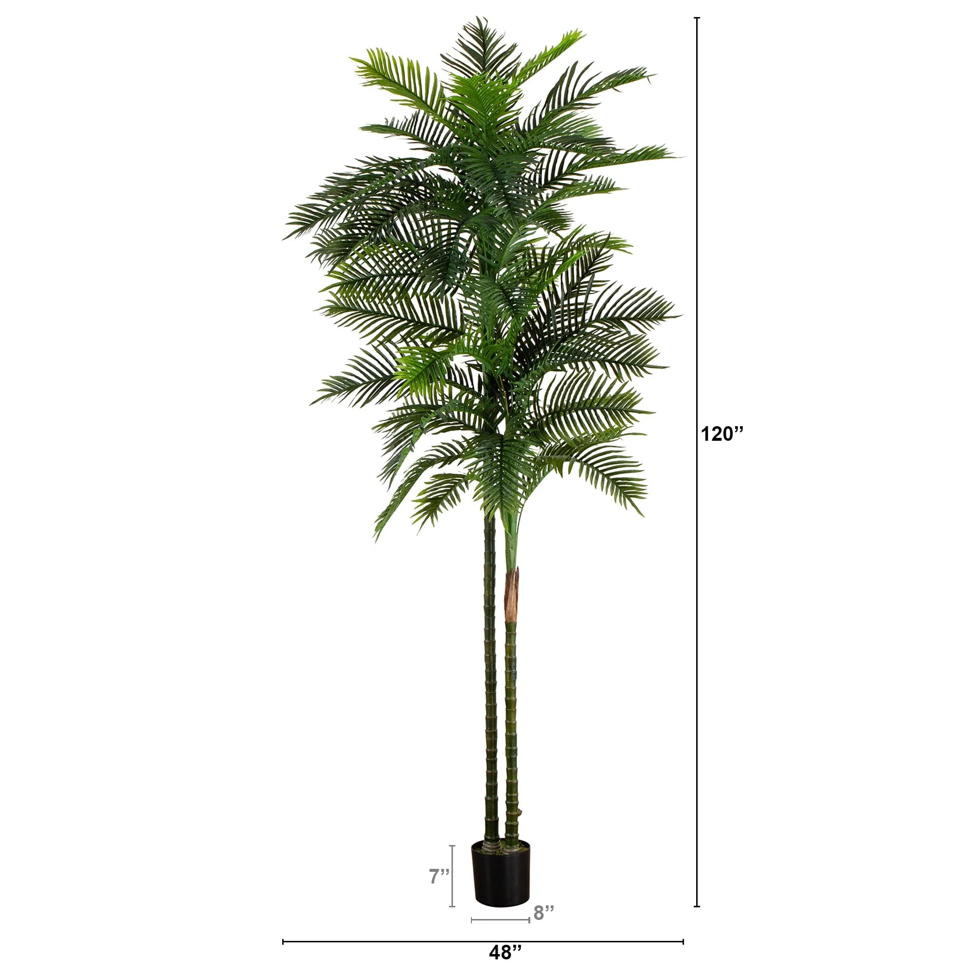 10’ UV Resistant Artificial Double Robellini Palm Tree (Indoor/Outdoor) - Image 6