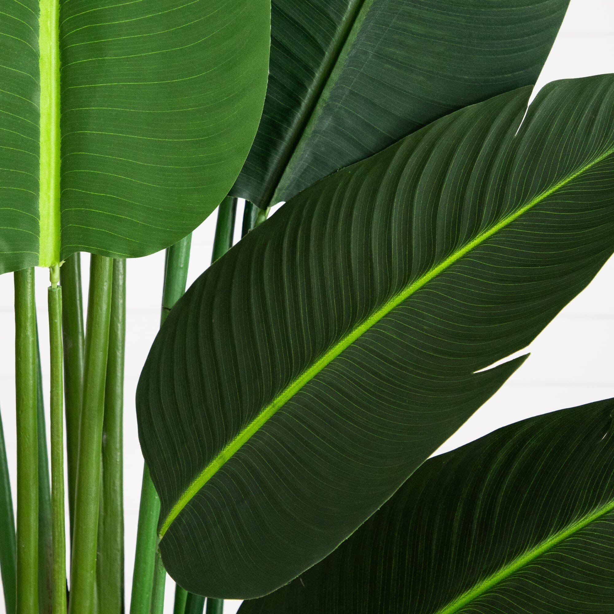 11' Artificial Travelers Palm Tree - Image 2