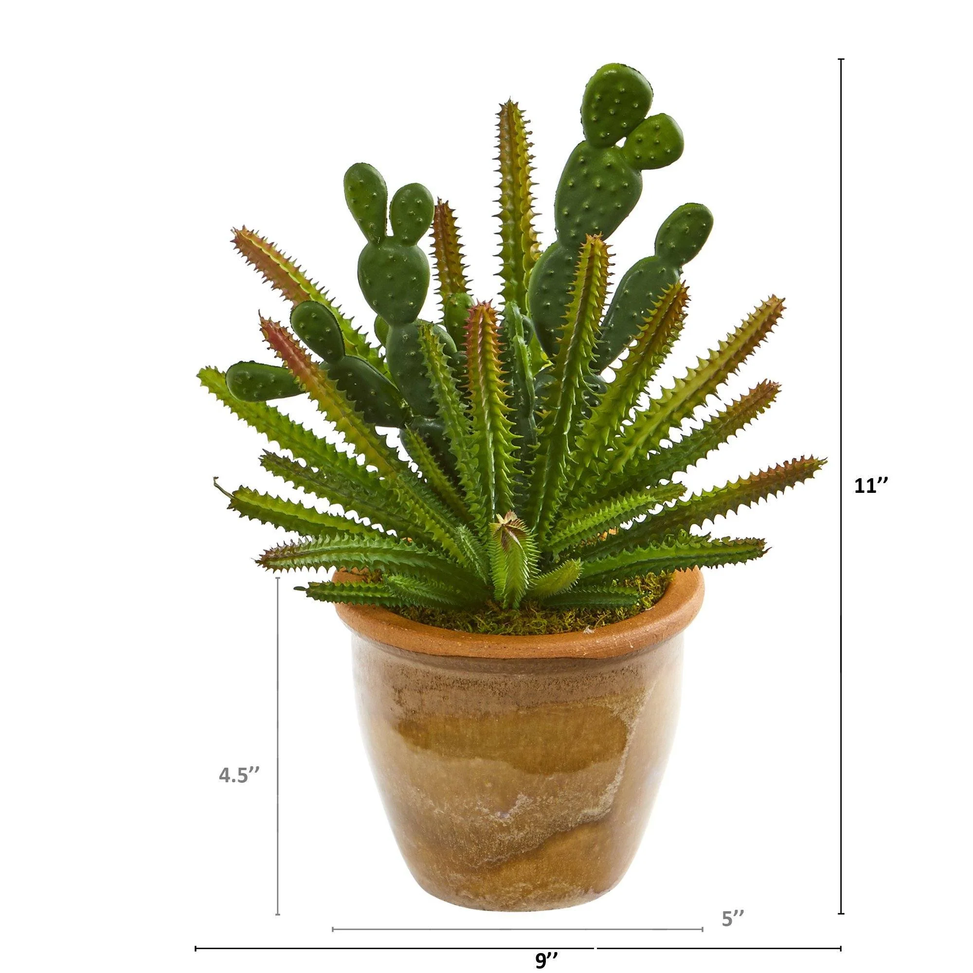 11” Cactus Artificial Plant in Ceramic Planter - Image 2