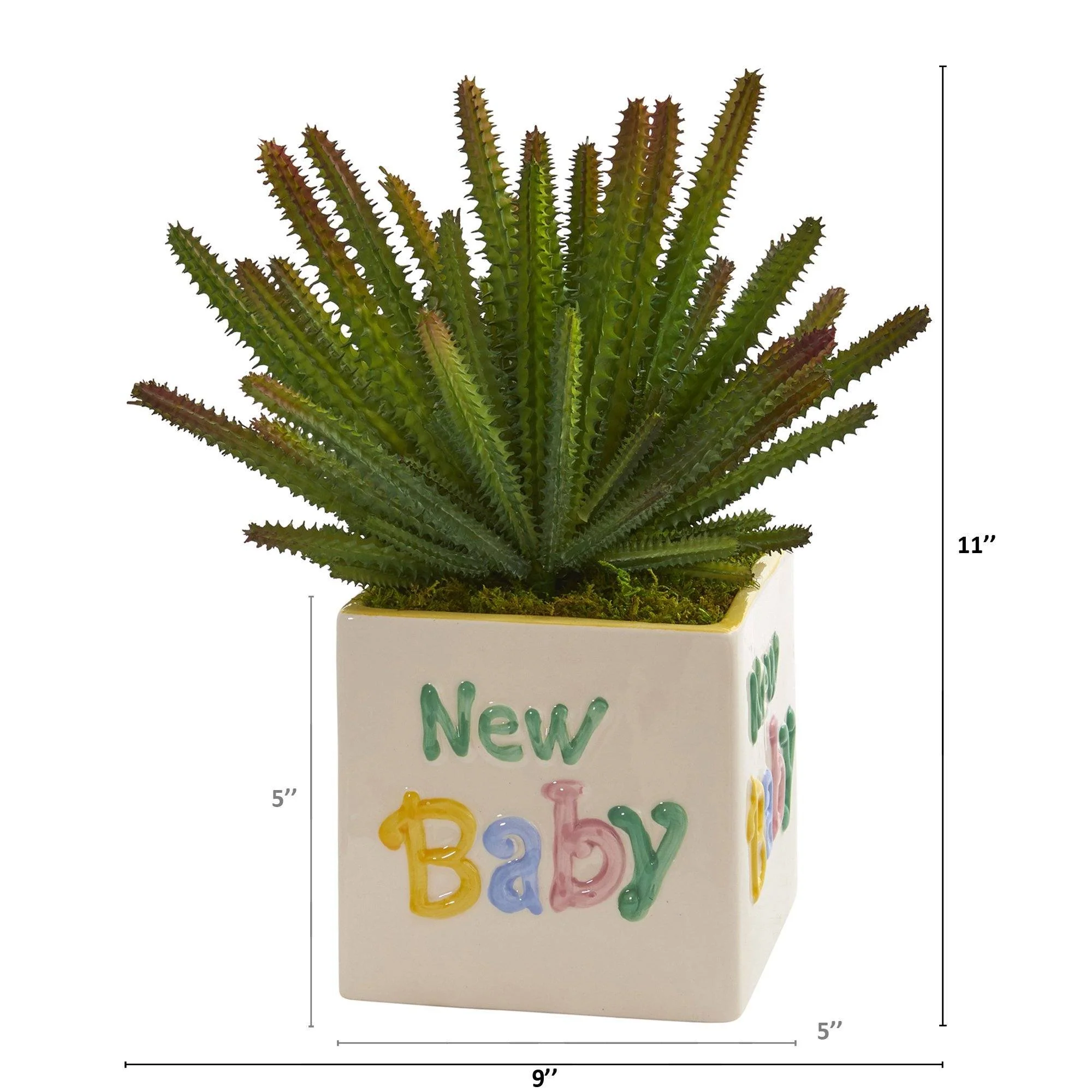 11” Cactus Artificial Plant in “New Baby” Planter - Image 2