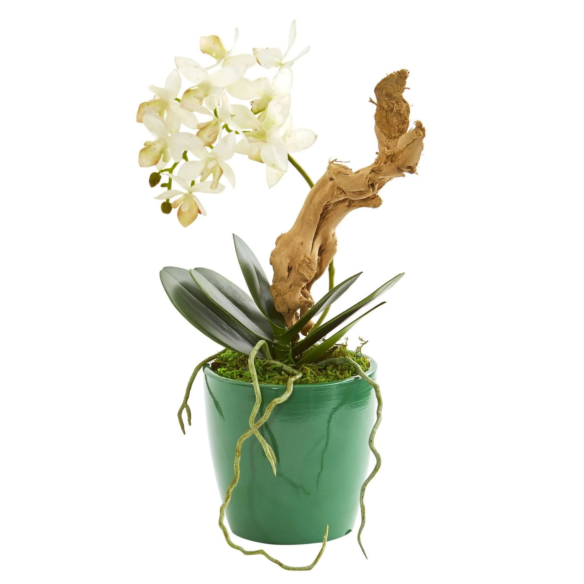 Mini Phalaenopsis Orchid Artificial Arrangement in Green Planter (Set of 2) - Image 2