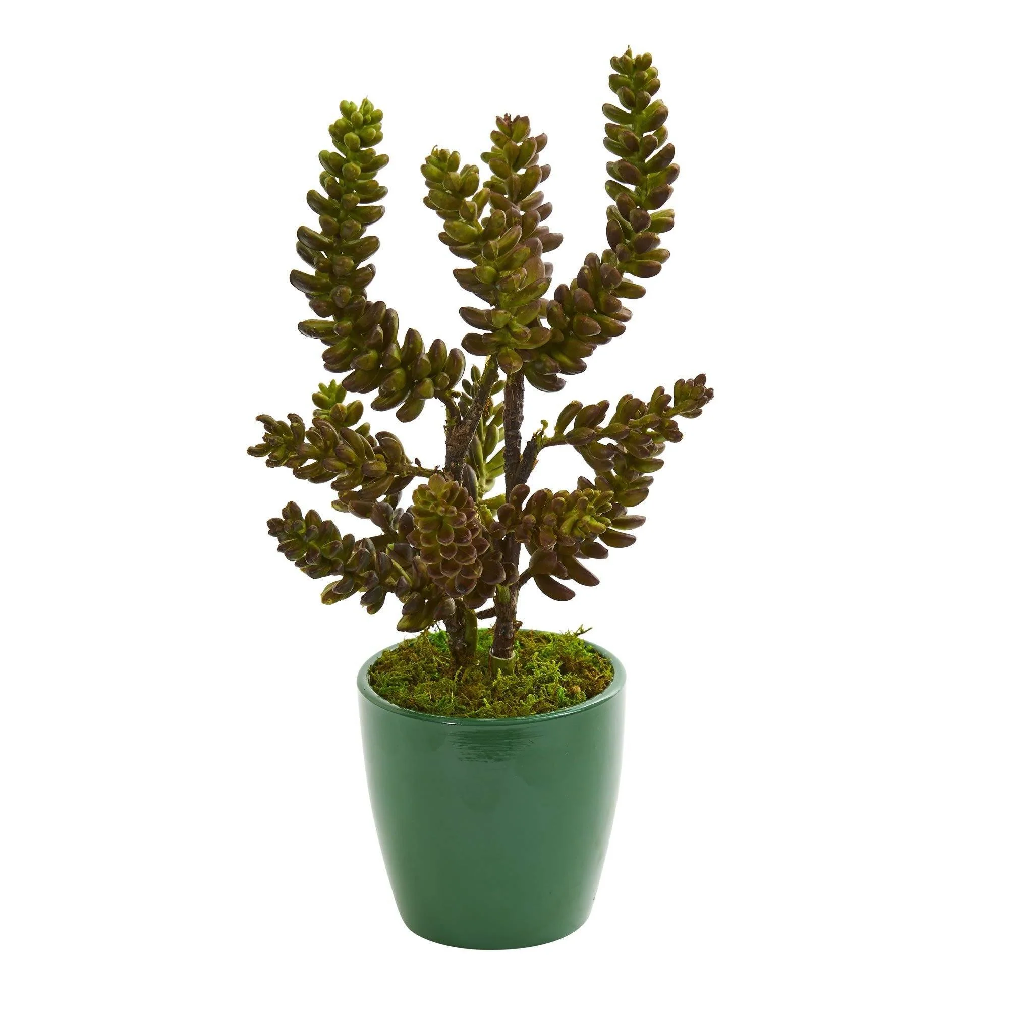 Succulent Artificial Plant in Green Pot (Set of 2) - Image 2