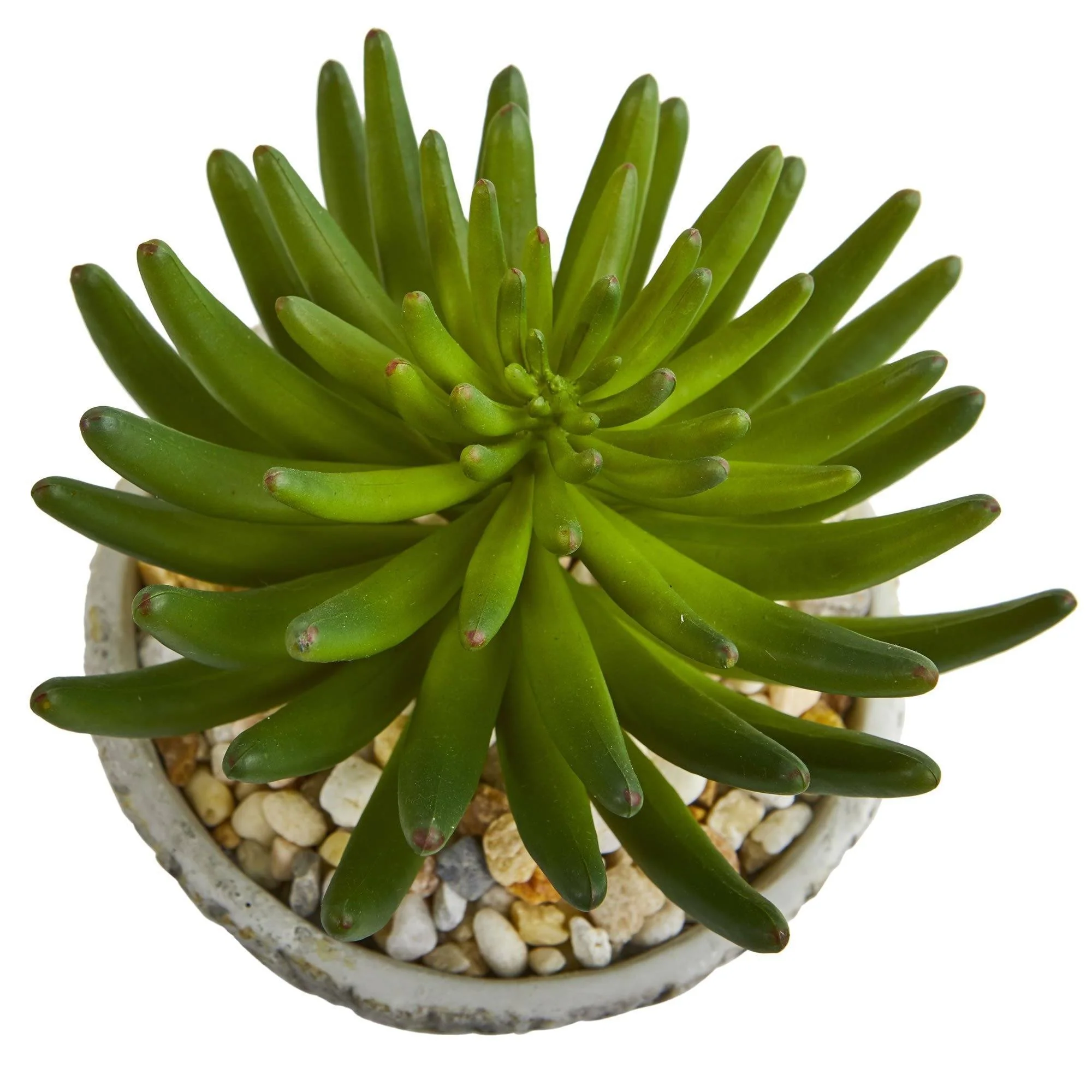 11” Succulent Artificial Plant in Weathered Oak Planter - Image 2