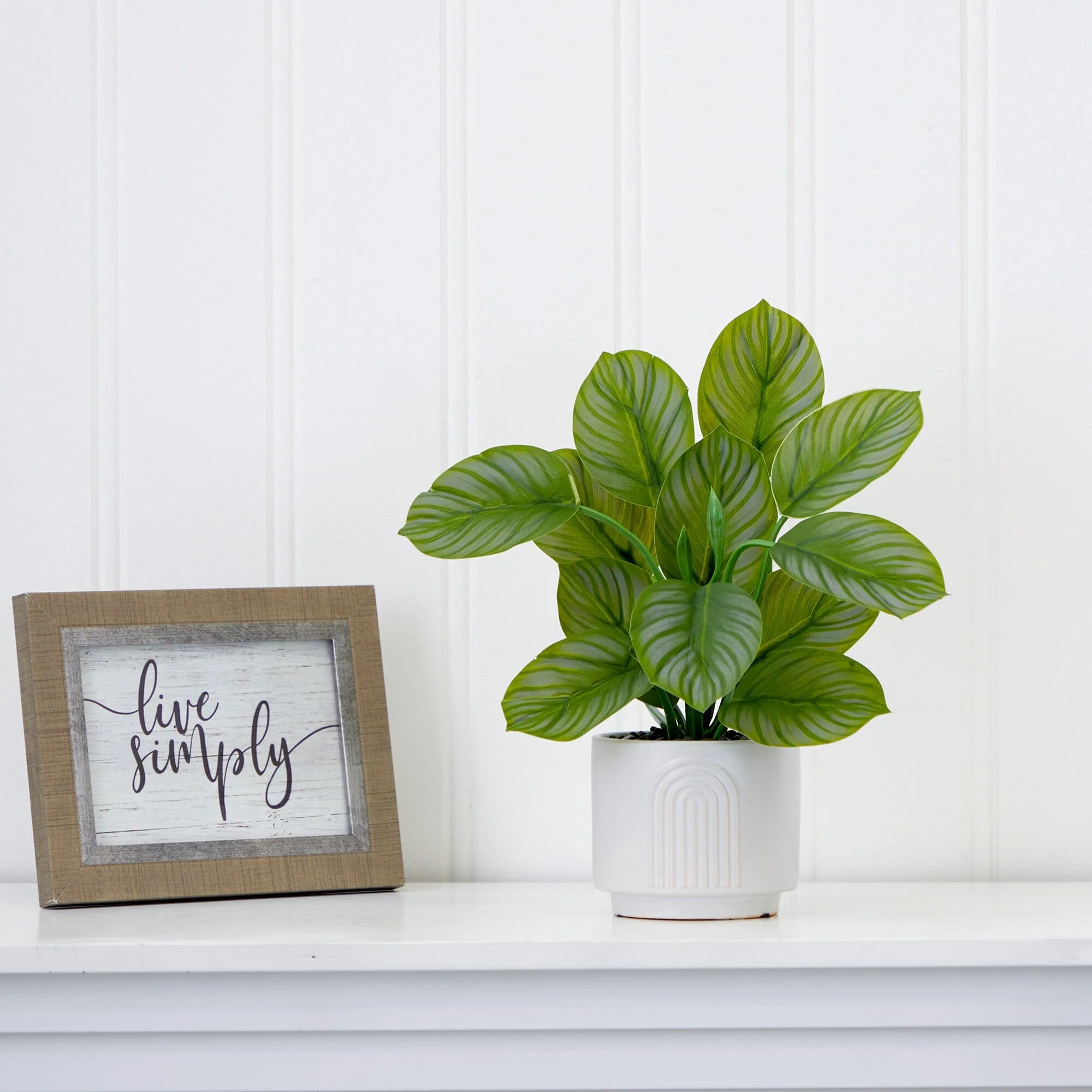 12" Artificial Calathea Plant with Decorative Planter - Image 5