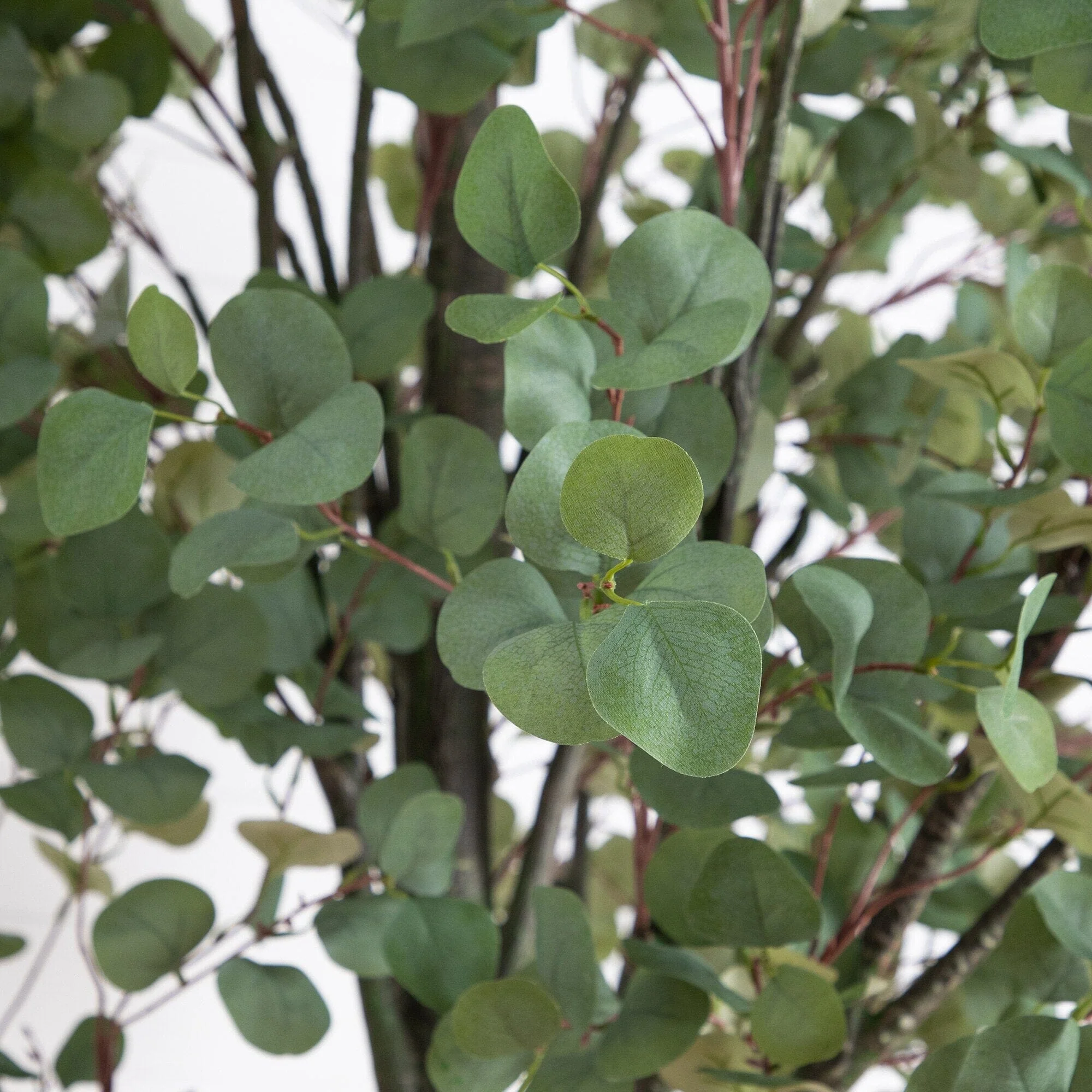 12’ Artificial Eucalyptus Tree - Image 2