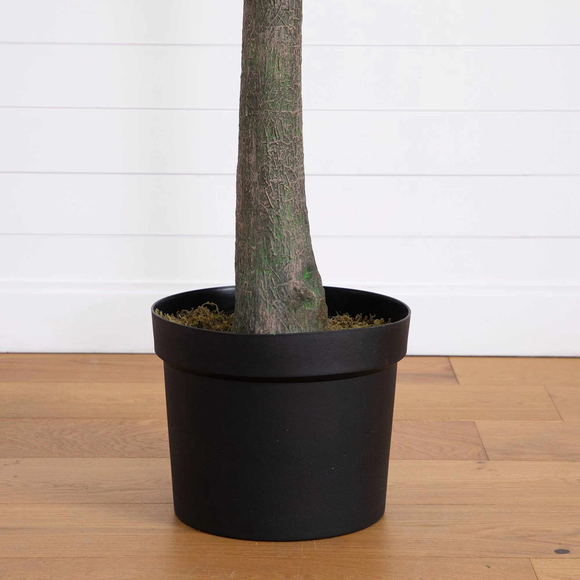 12’ Artificial Eucalyptus Tree - Image 4