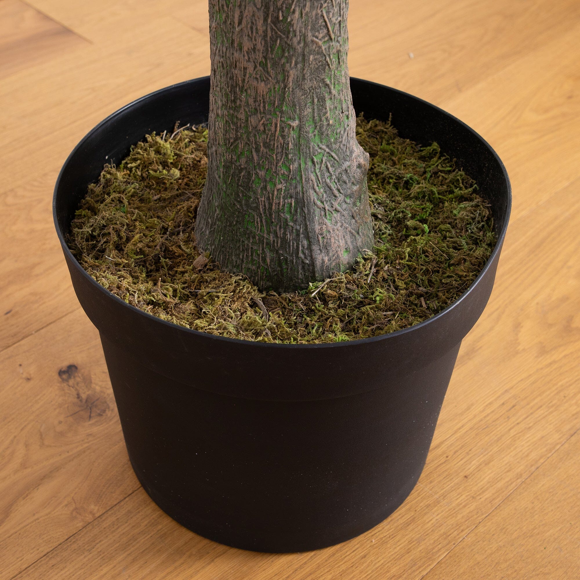 12’ Artificial Eucalyptus Tree - Image 5