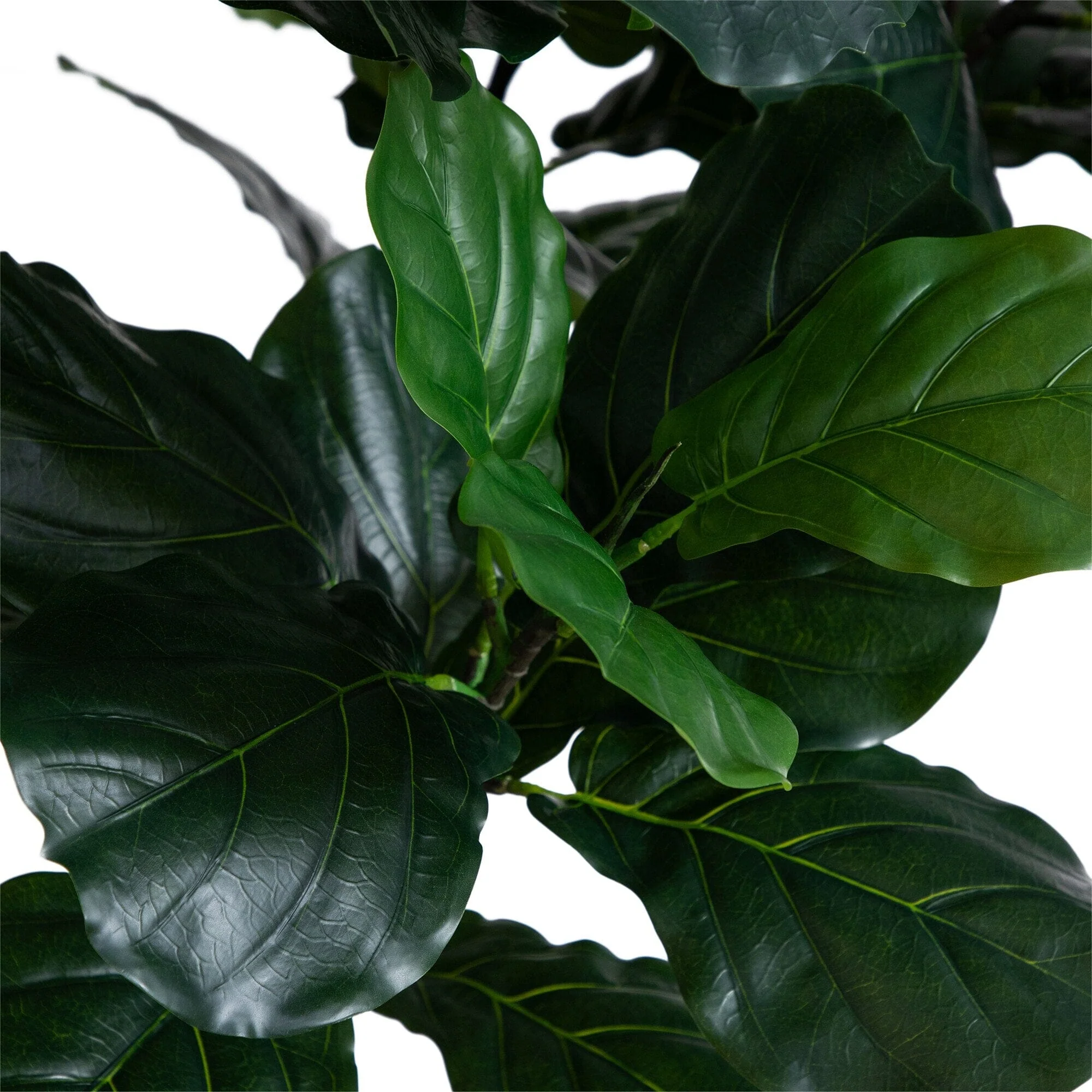 12’ Artificial Fiddle Leaf Tree - Image 4