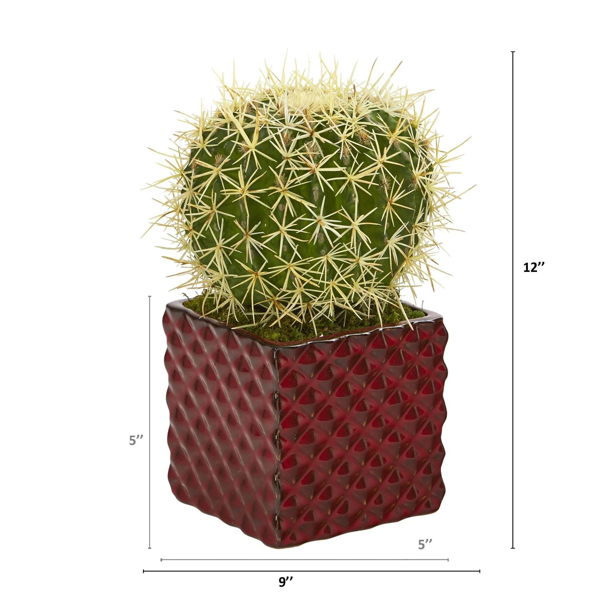 12” Cactus Succulent Artificial Plant in Red Ceramic Vase - Image 2