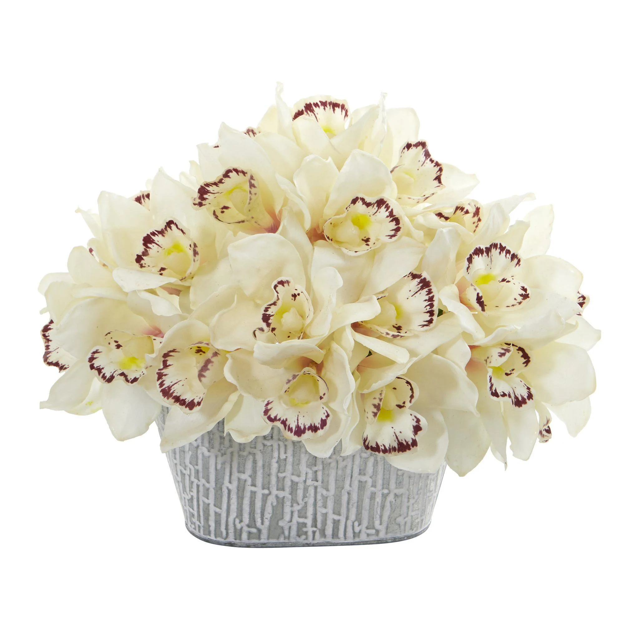 12” Cymbidium Orchid Arrangement in Tin White Vase - Image 6