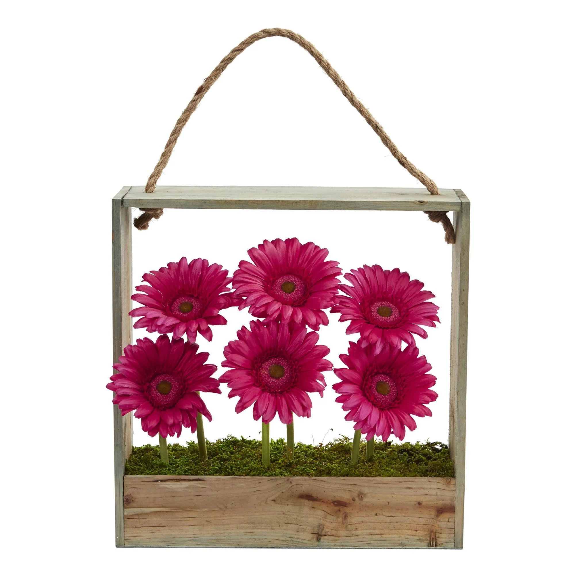 Gerber Daisy Garden in Hanging Frame - Image 3