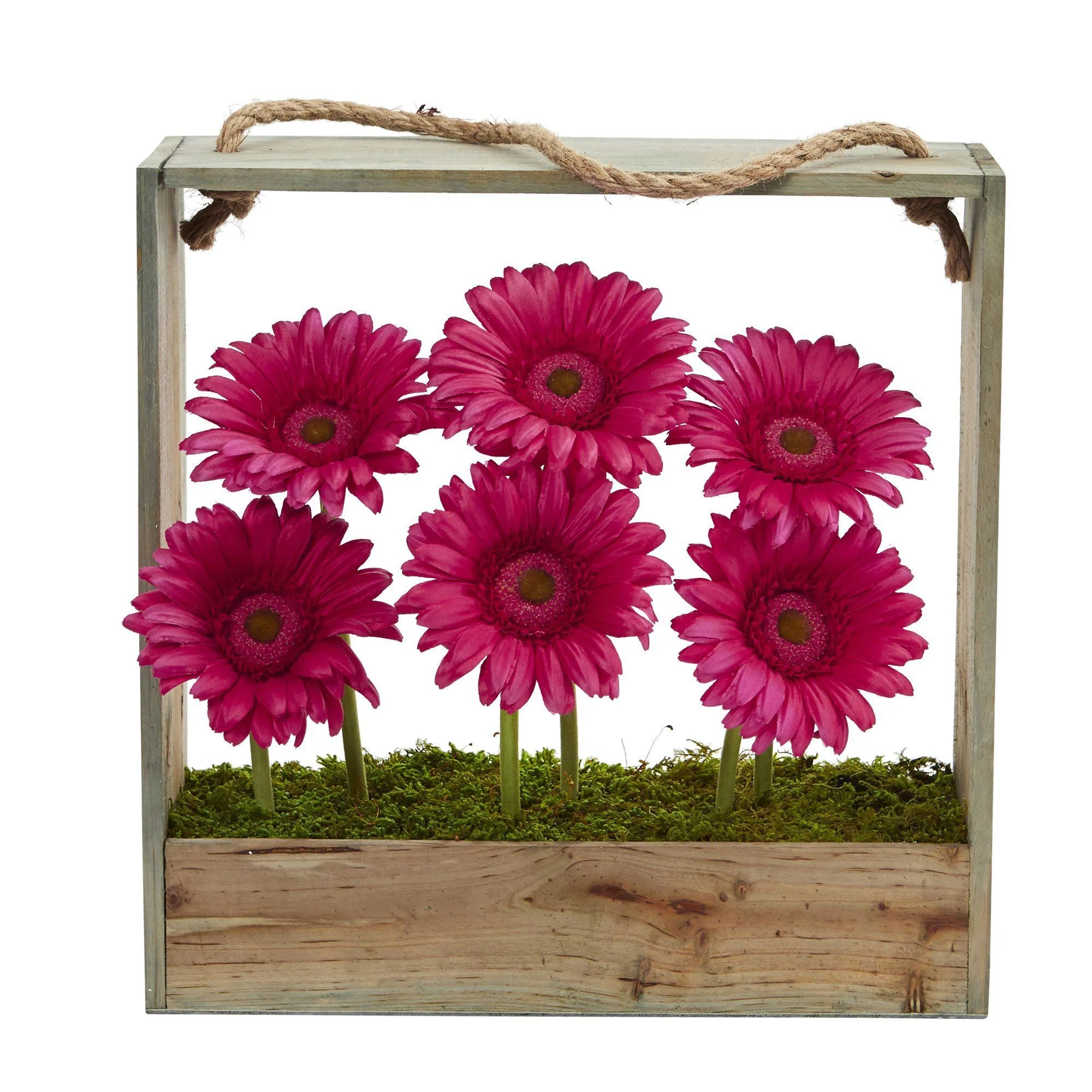Gerber Daisy Garden in Hanging Frame - Image 4