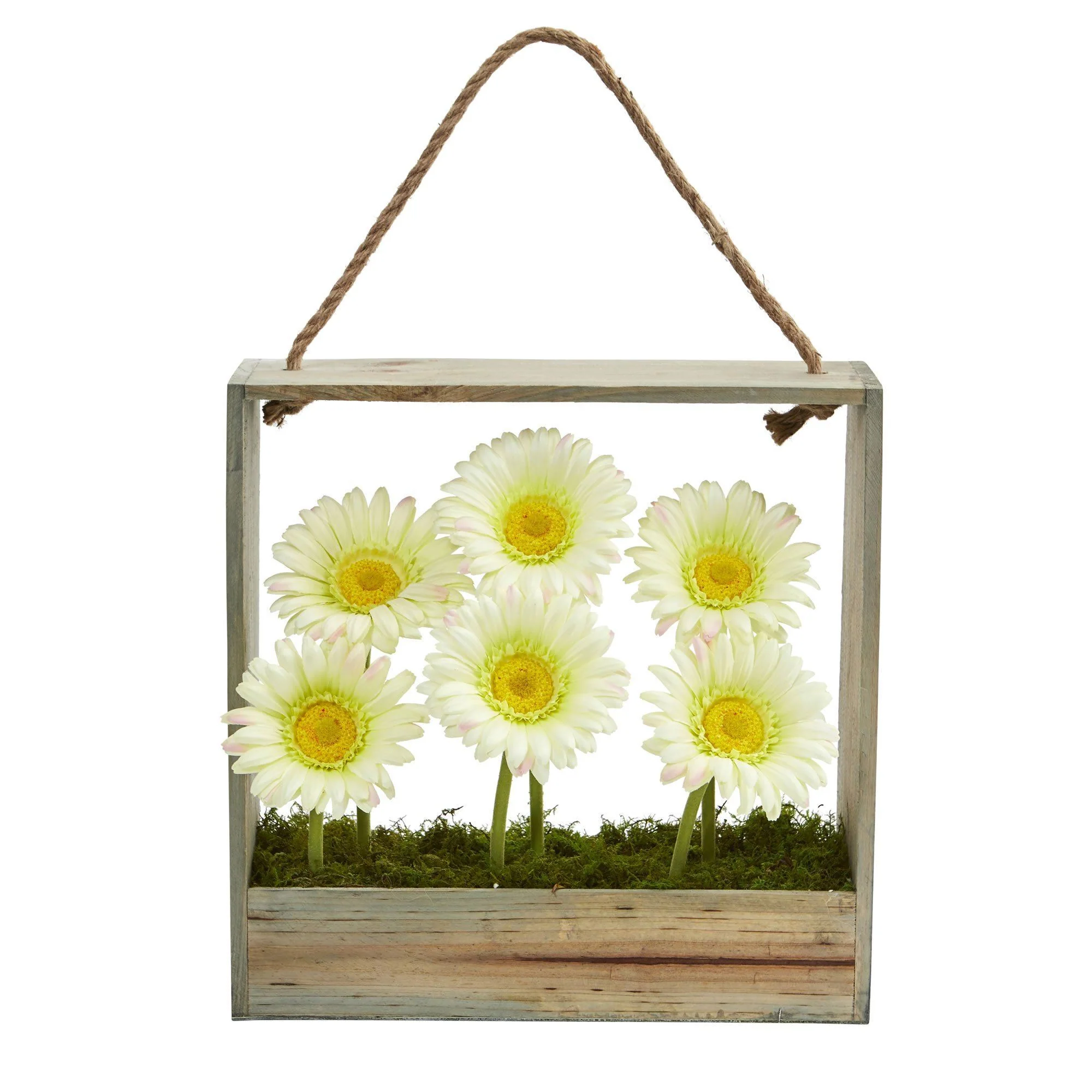 Gerber Daisy Garden in Hanging Frame - Image 5