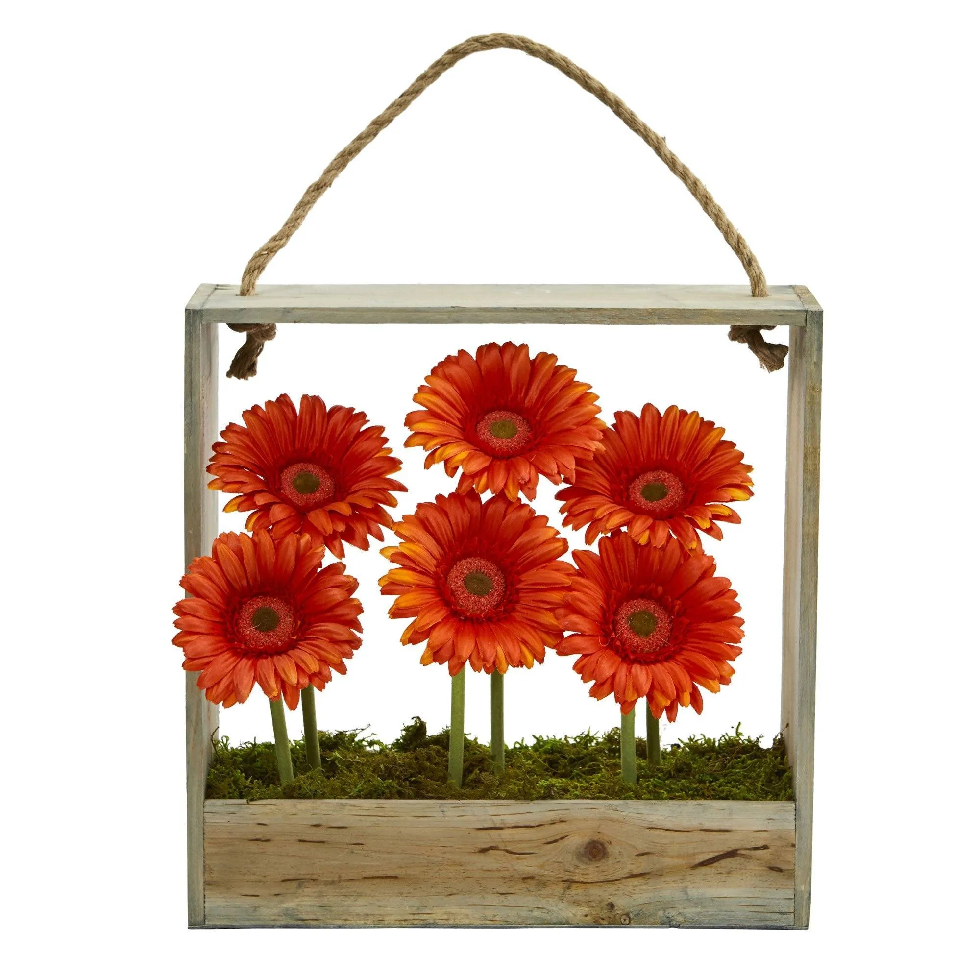 Gerber Daisy Garden in Hanging Frame - Image 7