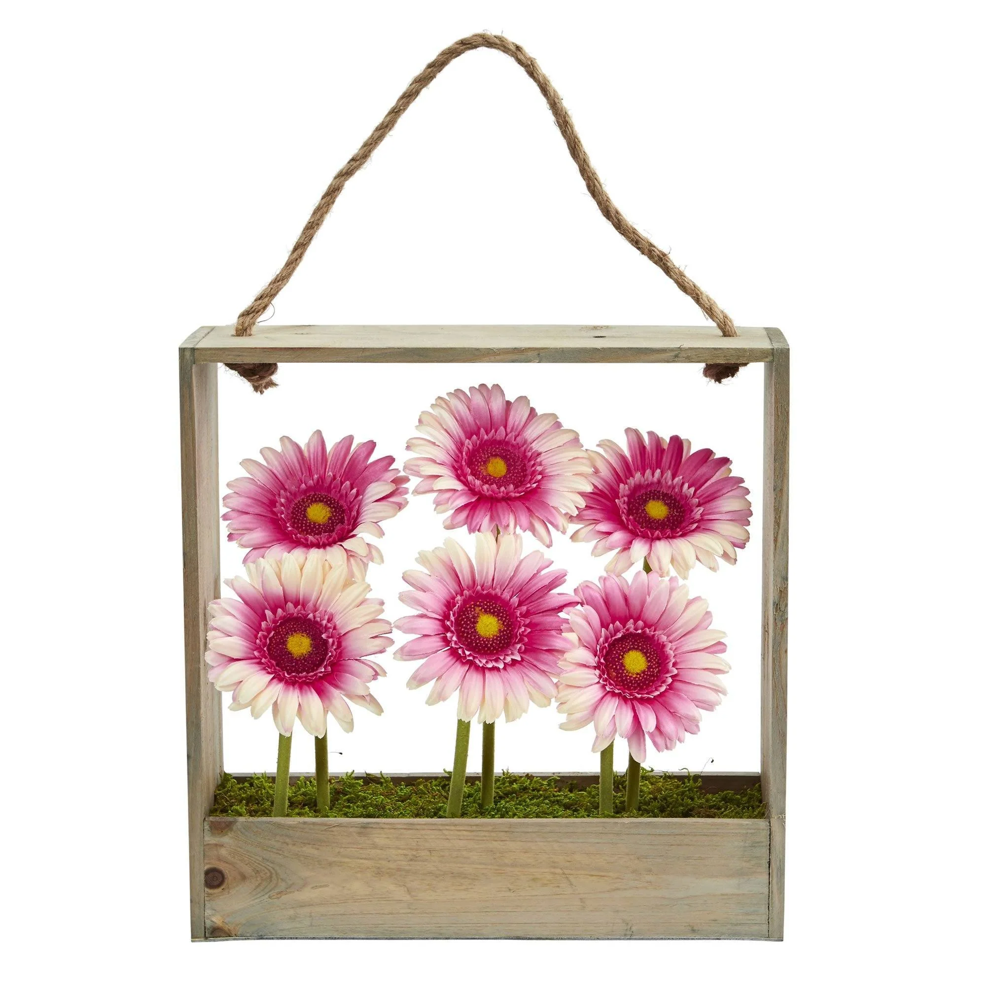 Gerber Daisy Garden in Hanging Frame - Image 9