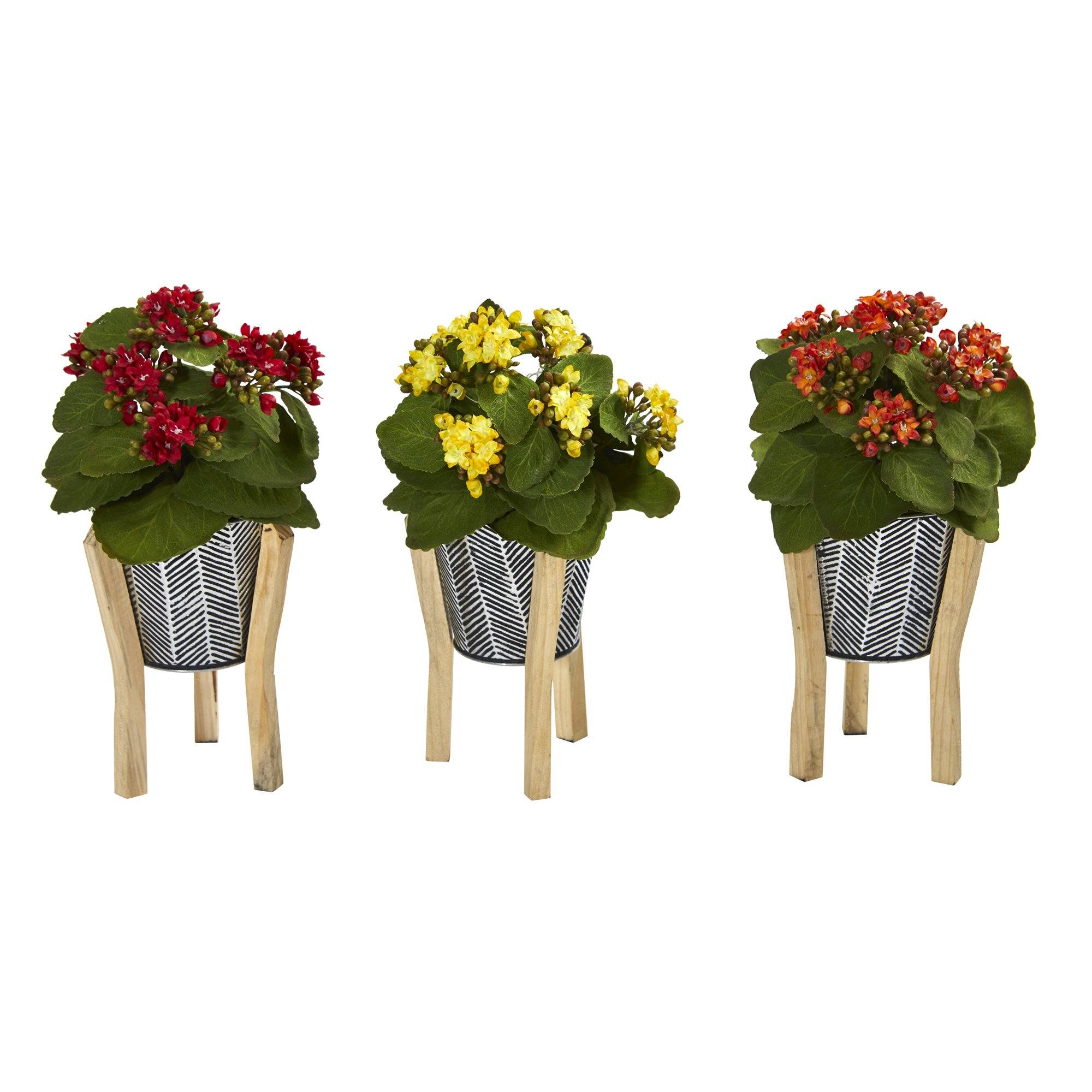 12” Kalanchoe Plant in Tin Planter with Legs (Set of 3) - Image 11