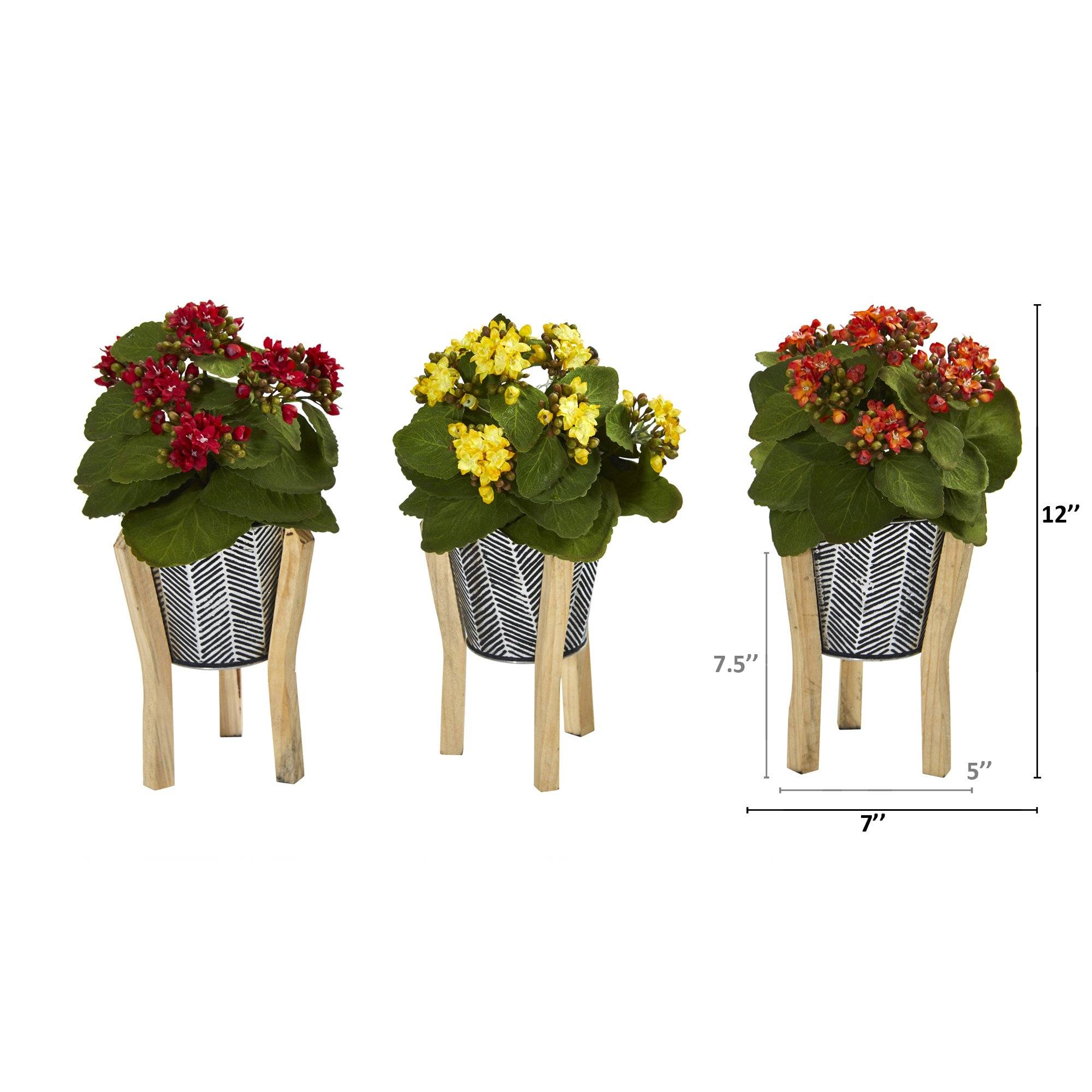 12” Kalanchoe Plant in Tin Planter with Legs (Set of 3) - Image 12