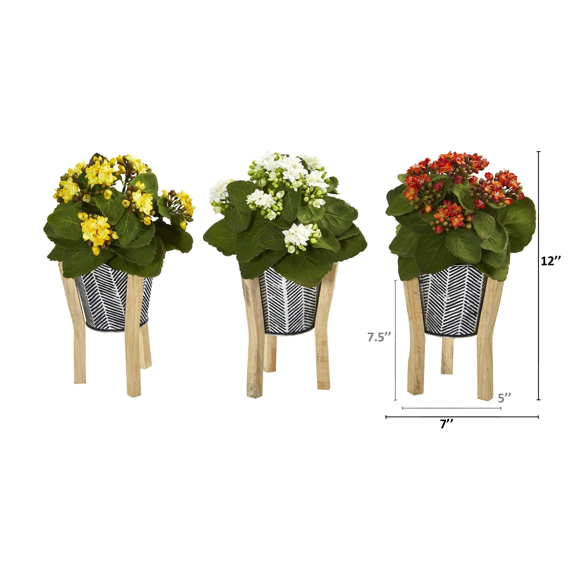 12” Kalanchoe Plant in Tin Planter with Legs (Set of 3) - Image 7