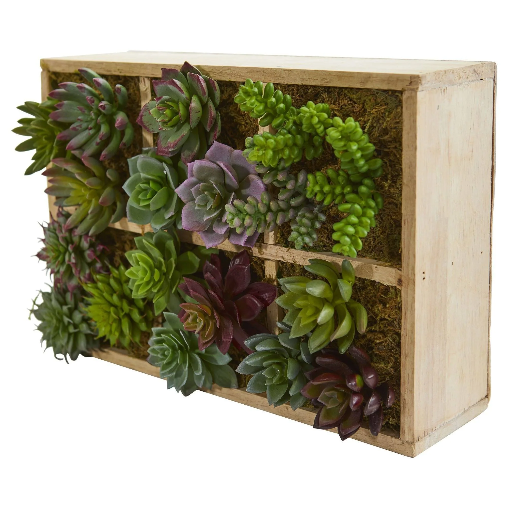 12” Mixed Succulent Garden in Tray Artificial Plant - Image 3