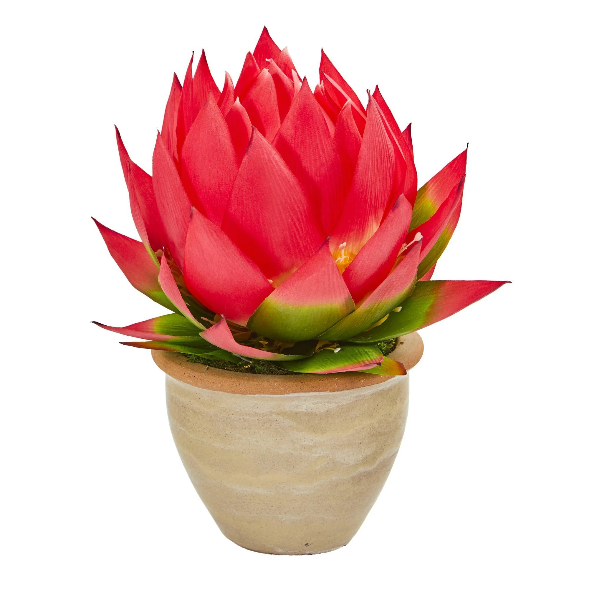 12” Musella Artificial Arrangement in Decorative Vase - Image 3