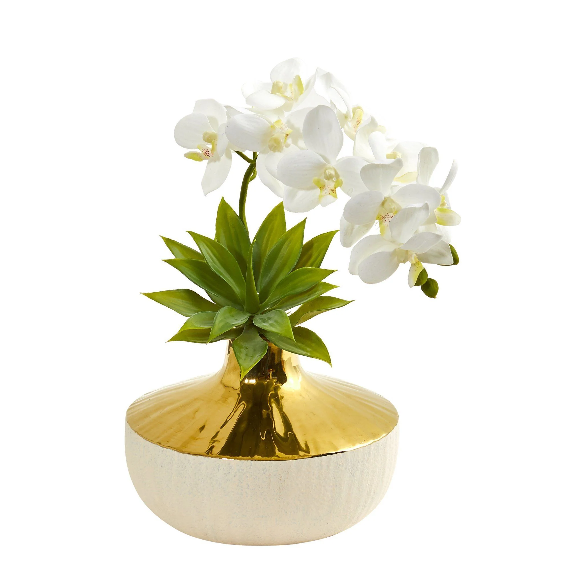 Phalaenopsis Orchid and Agave Artificial Arrangement in Vase - Image 7
