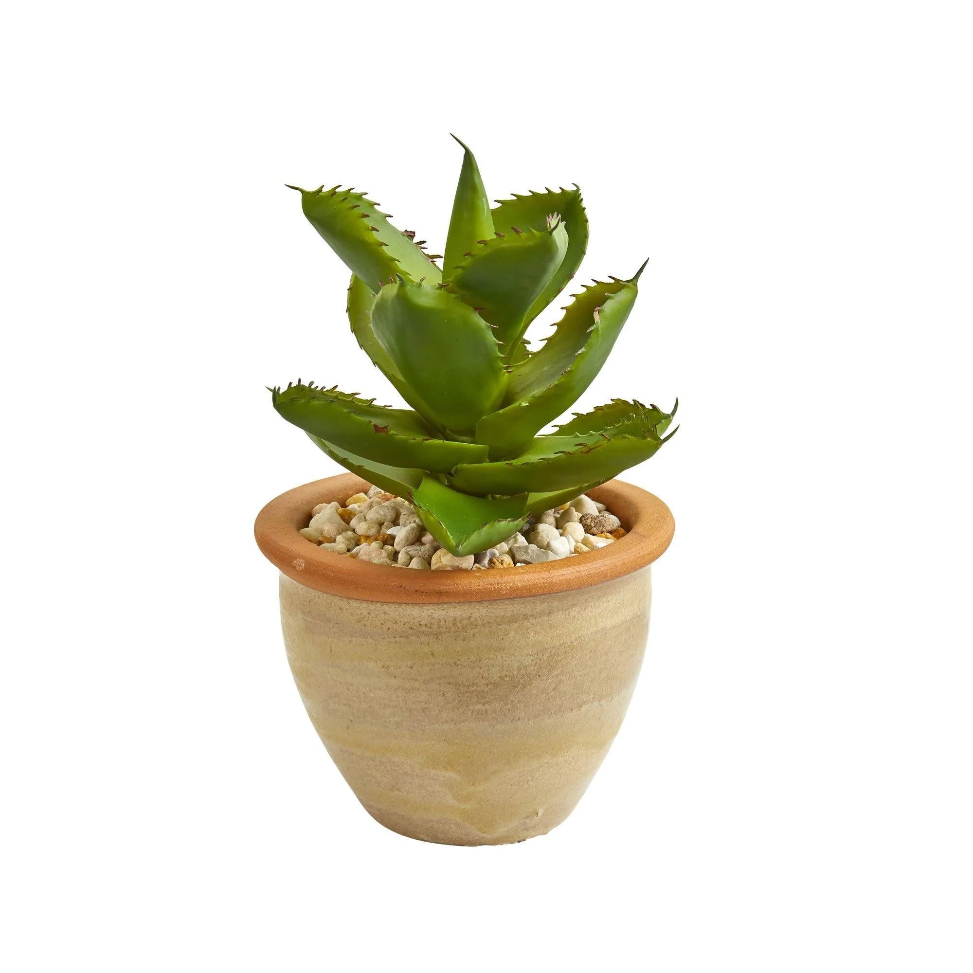 12” Succulent Artificial Plant in Glazed Ceramic Vase (Set of 2) - Image 3