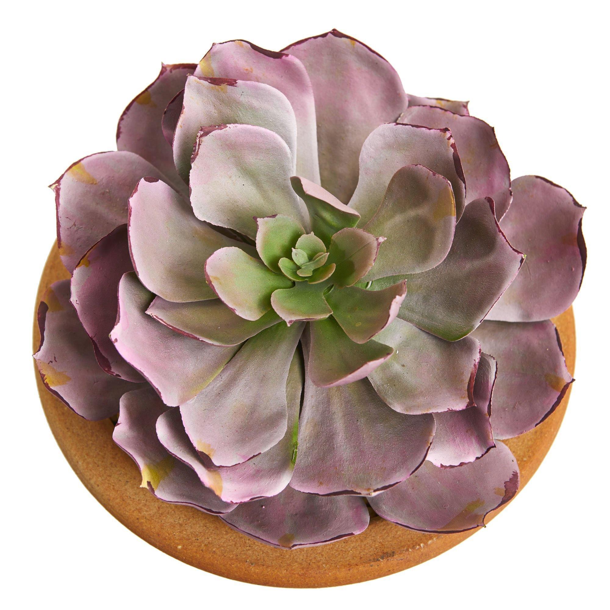 12” Succulent Artificial Plant in Glazed Ceramic Vase (Set of 2) - Image 4