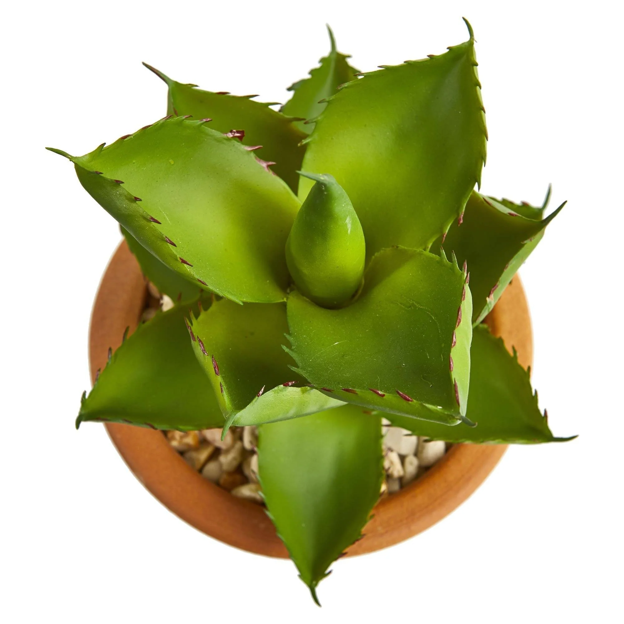 12” Succulent Artificial Plant in Glazed Ceramic Vase (Set of 2) - Image 5