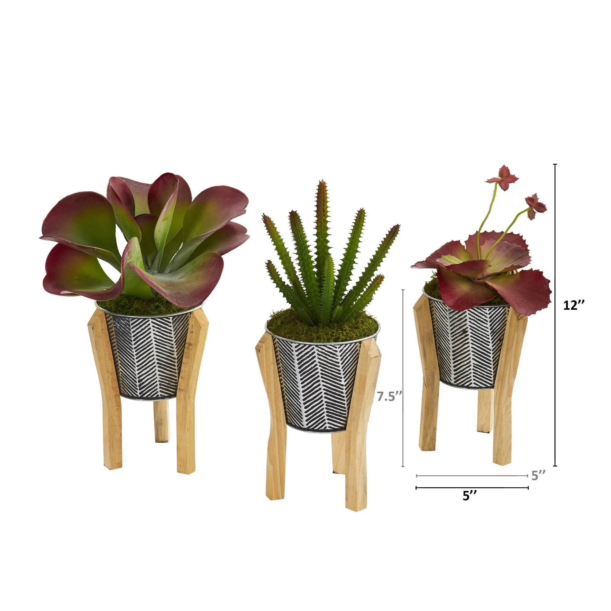 12” Succulent Artificial Plant in Tin Planter with Legs  (Set of 3) - Image 2