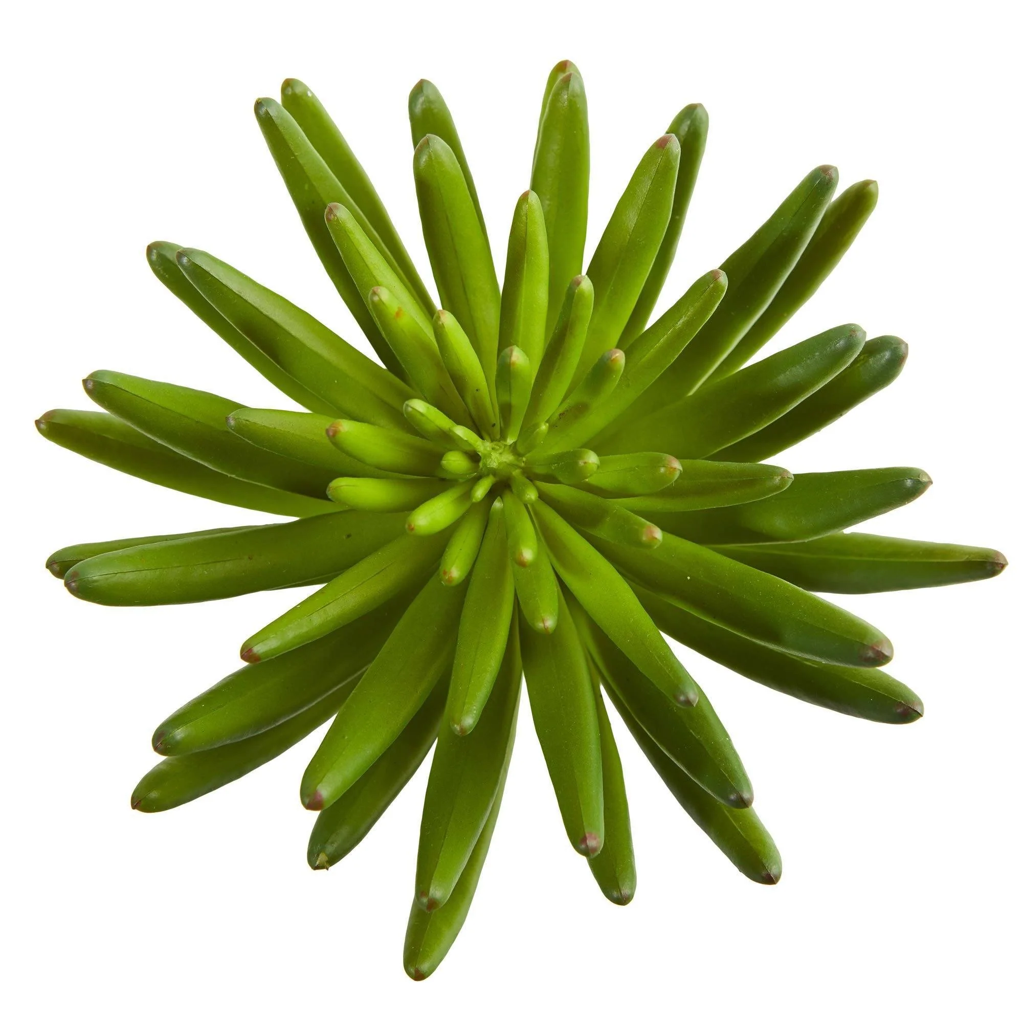 12” Succulent Artificial Plant (Set of 6) - Image 2