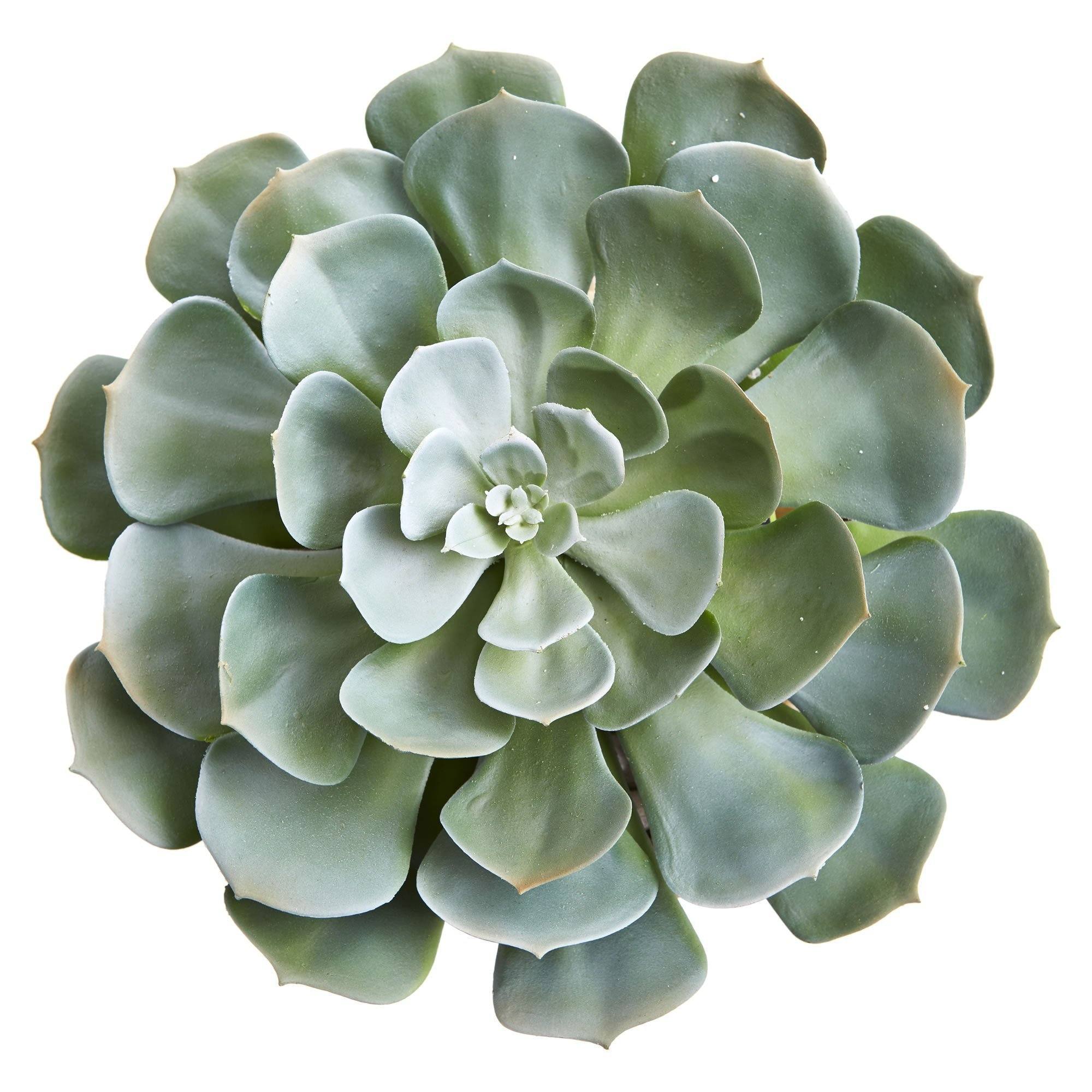 13” Giant Echeveria Succulent Artificial Plant in Terra Cotta Planter - Image 2