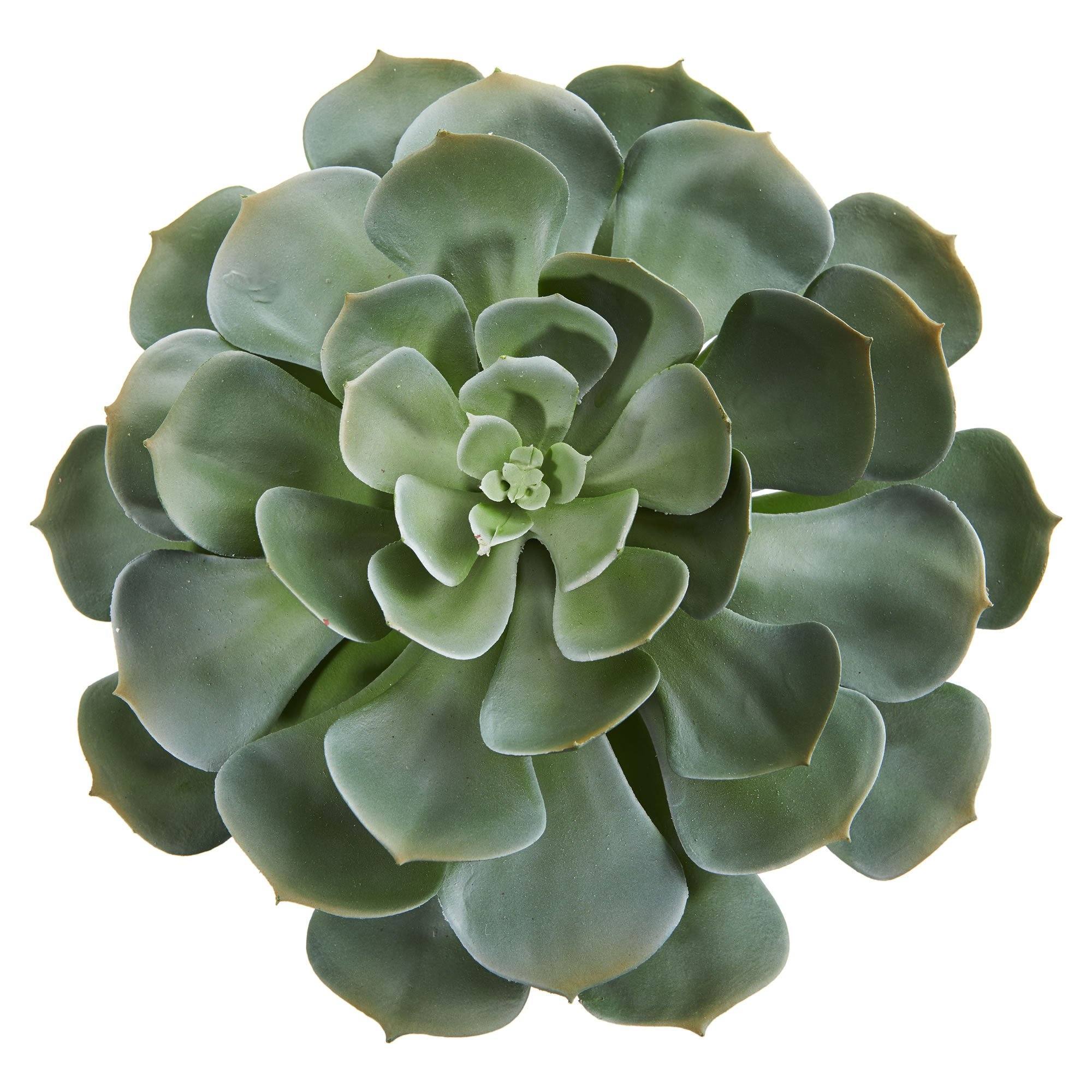 13” Giant Echeveria Succulent Pick Artificial Plant (Set of 2) - Image 2