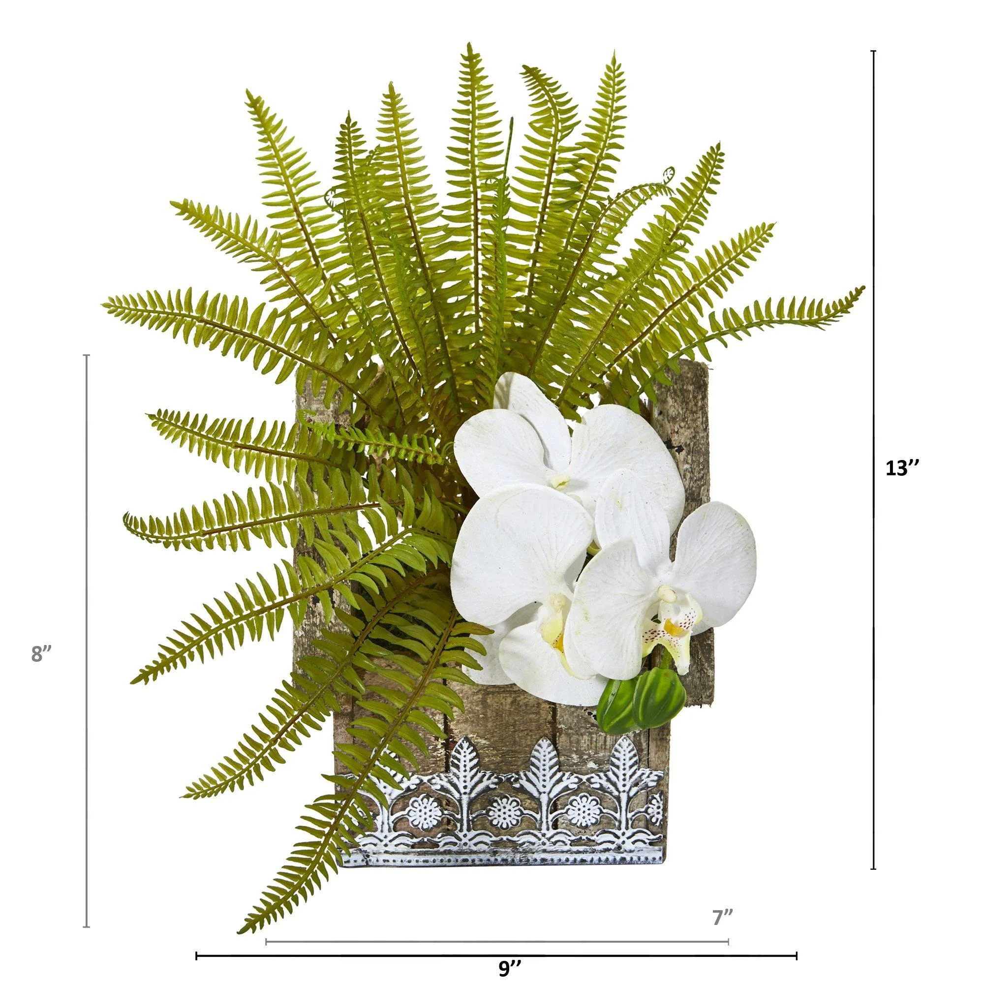 13” Phalaenopsis Orchid and Fern Plant in Hanging Planter - Image 3